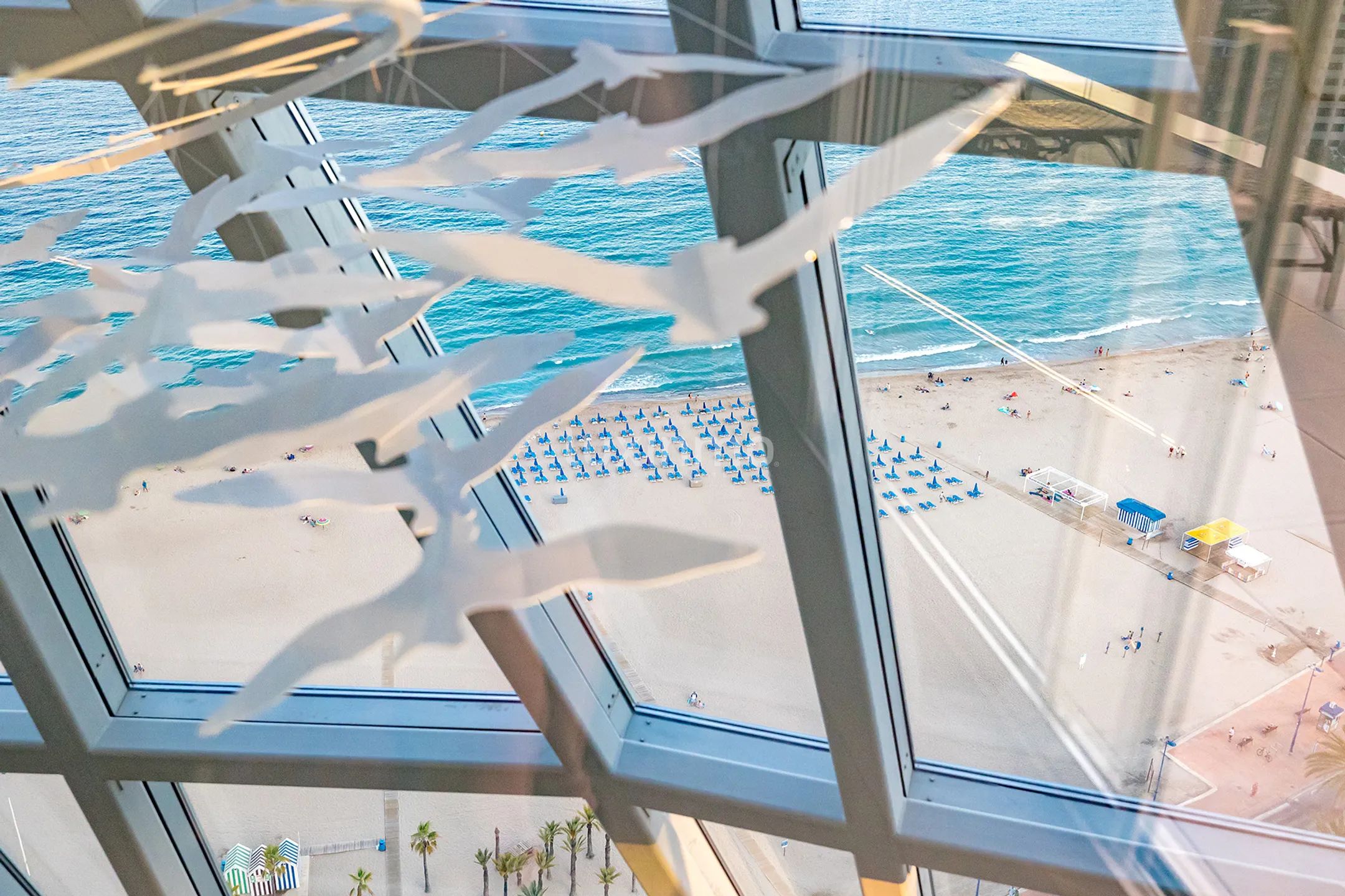 Unique apartments on the beachfront in Delfin Tower Benidorm — photo 31