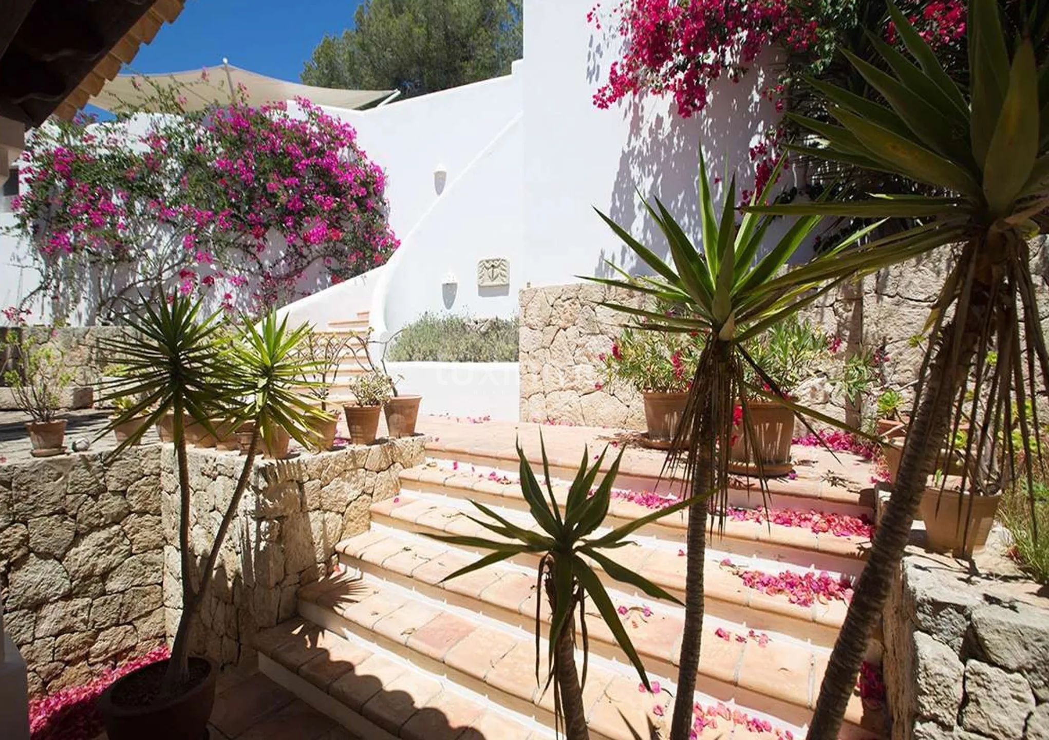 Villa mit Touristenschein und herrlichem Meerblick in Can Furnet, Ibiza — photo 20