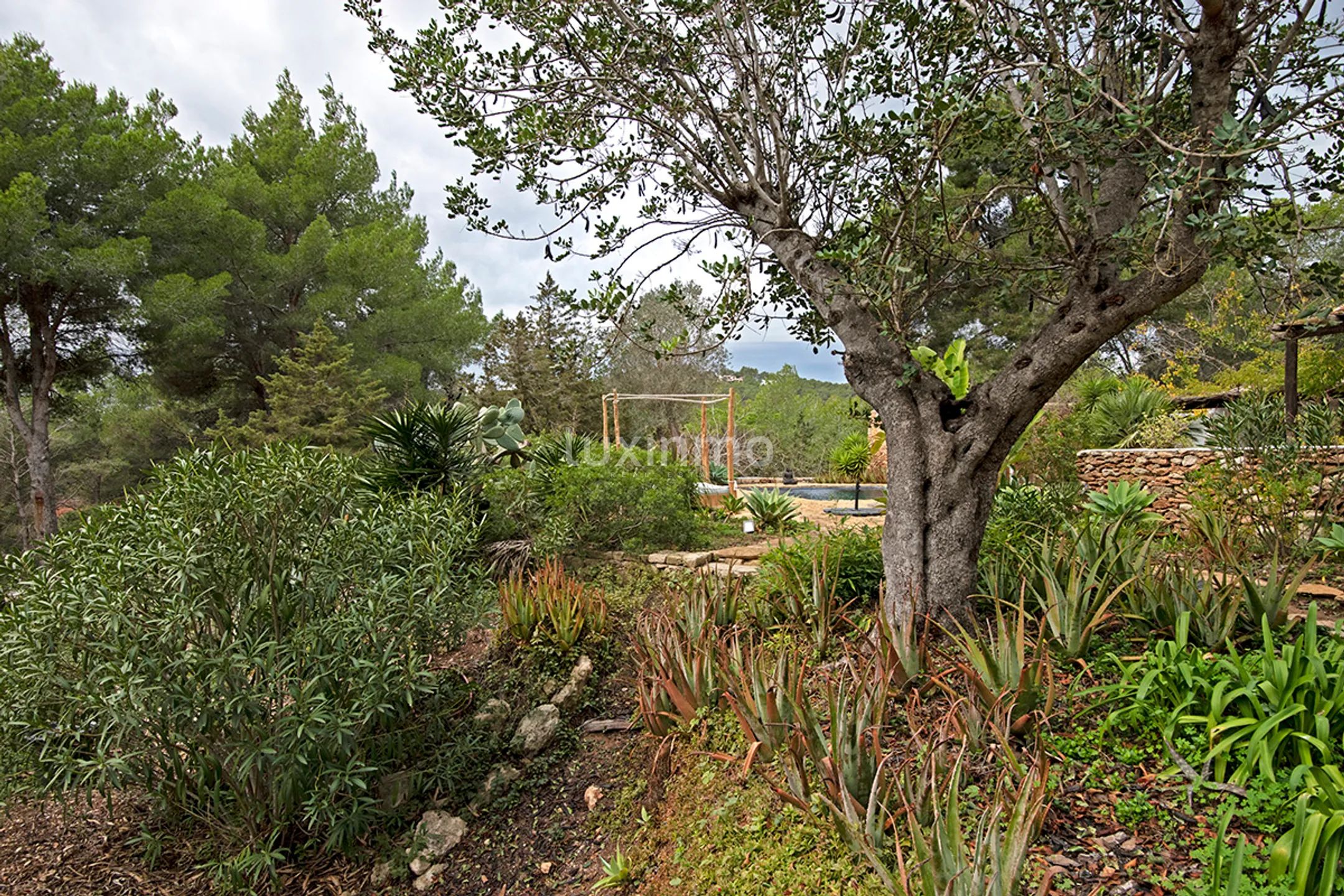Vakker hus omgitt av natur til salgs på Ibiza — photo 59