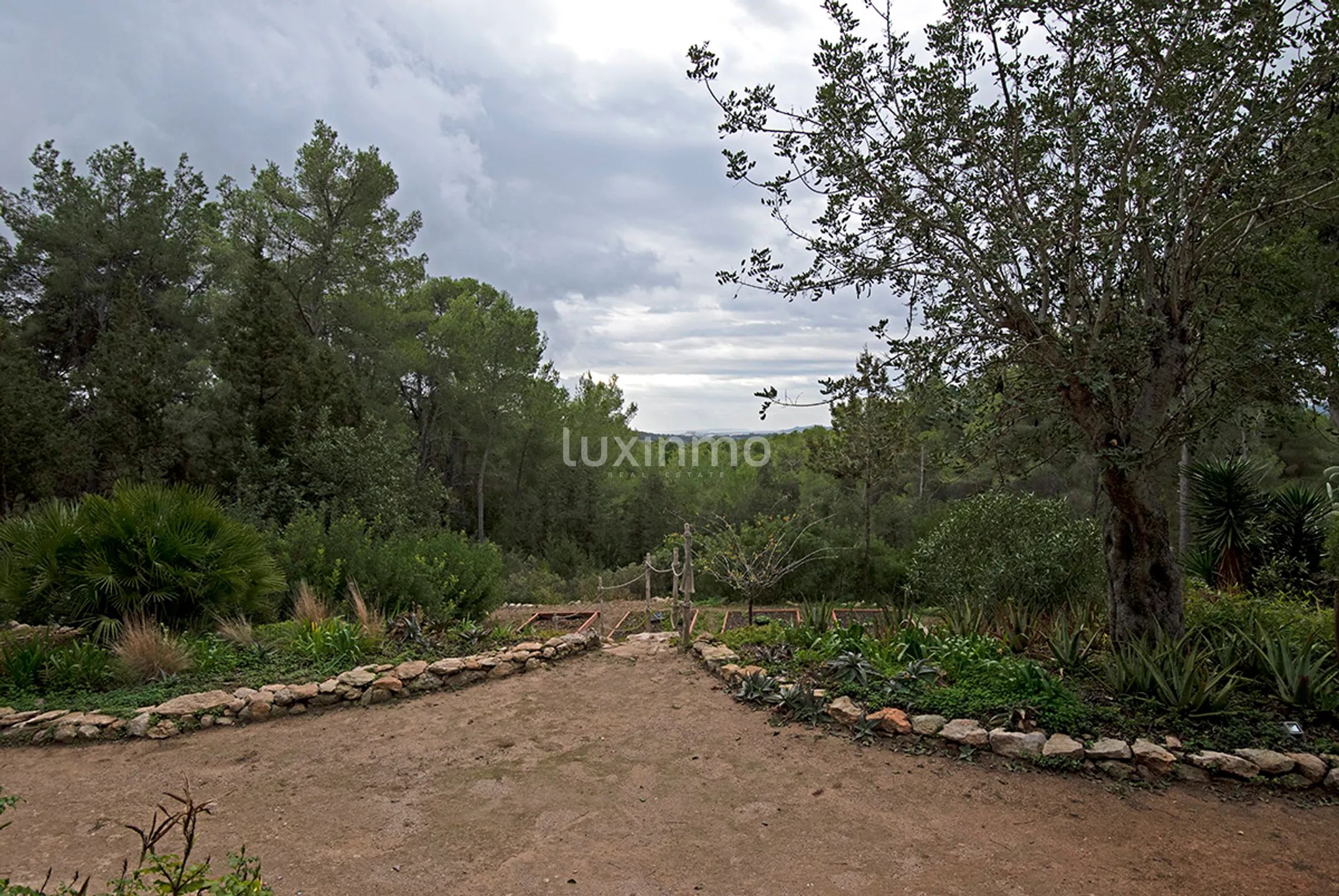 Vakker hus omgitt av natur til salgs på Ibiza — photo 45