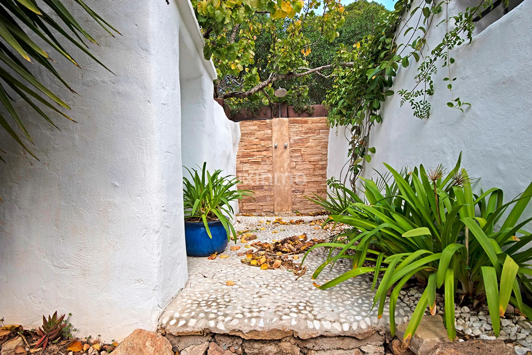 Vakker hus omgitt av natur til salgs på Ibiza — photo 51