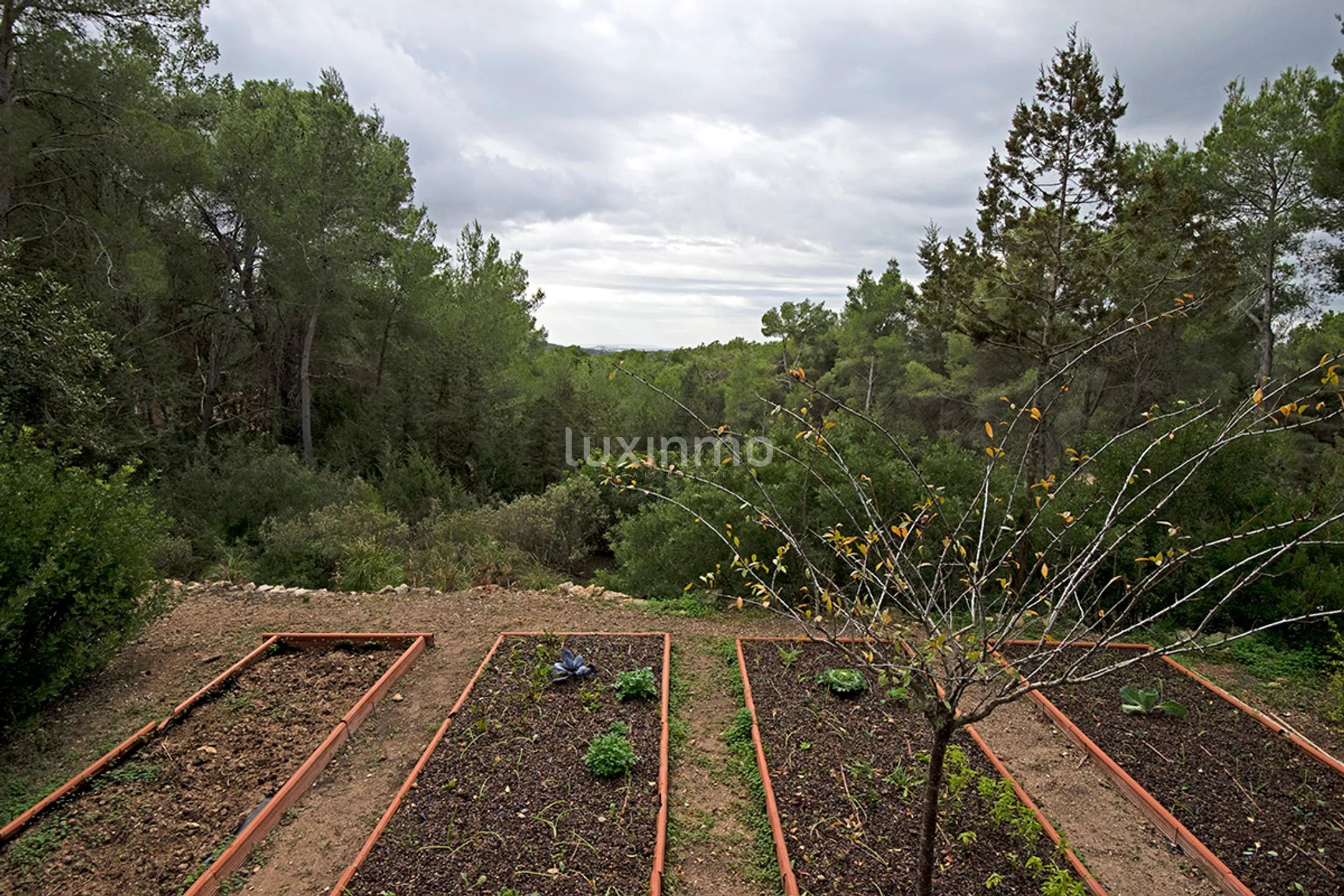 Vakker hus omgitt av natur til salgs på Ibiza — photo 46