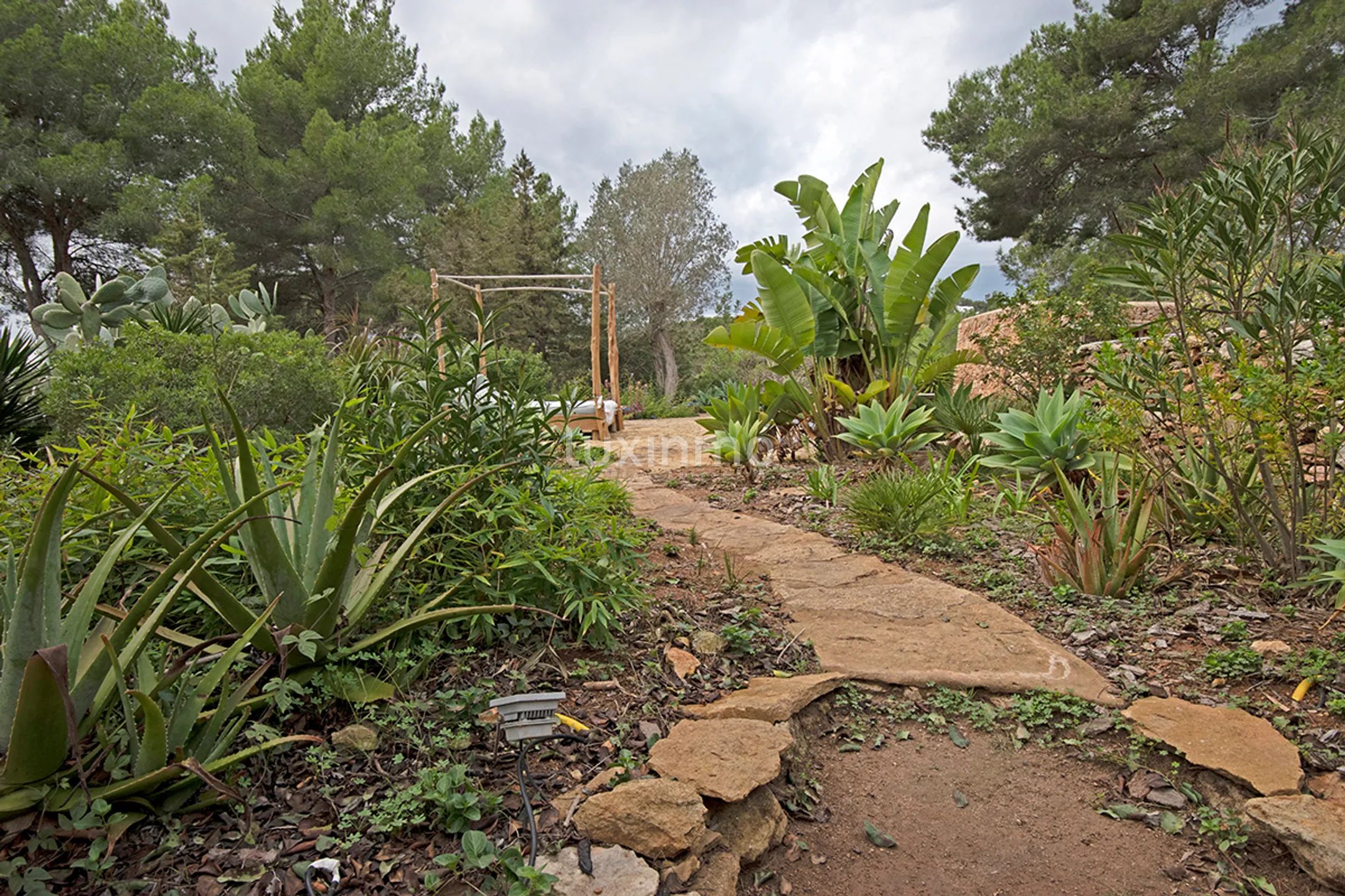 Vakker hus omgitt av natur til salgs på Ibiza — photo 47