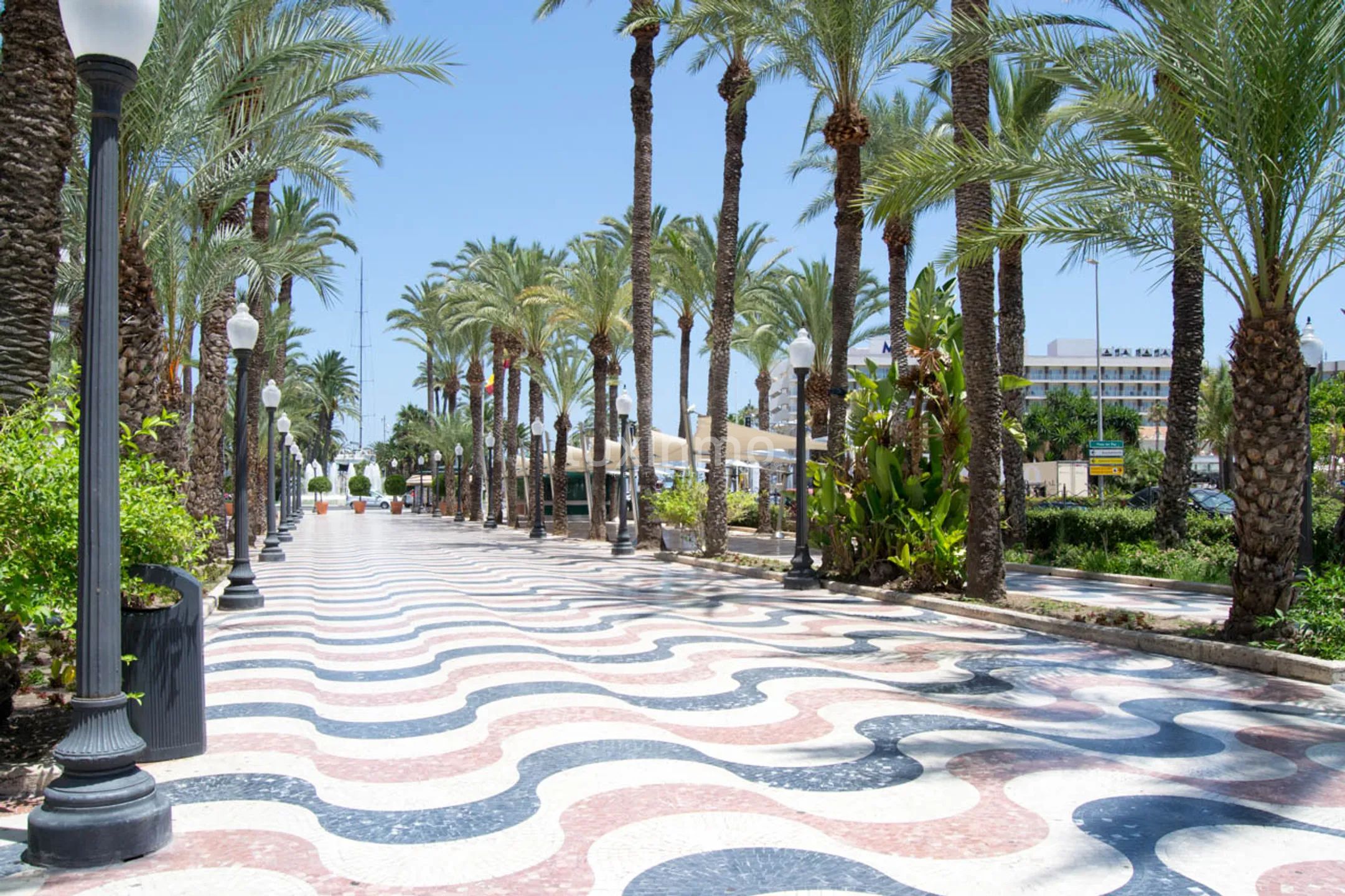 Prachtvolles Eck-Penthouse auf der Esplanade von Alicante — photo 35