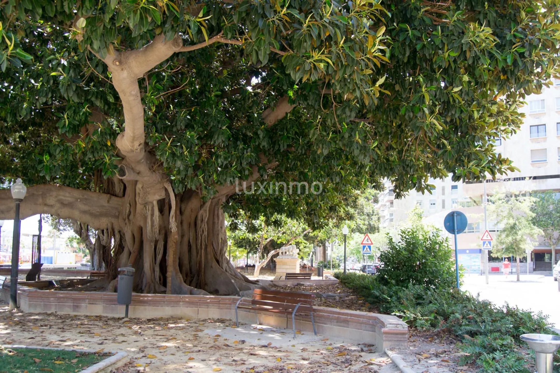 Prachtvolles Eck-Penthouse auf der Esplanade von Alicante — photo 45