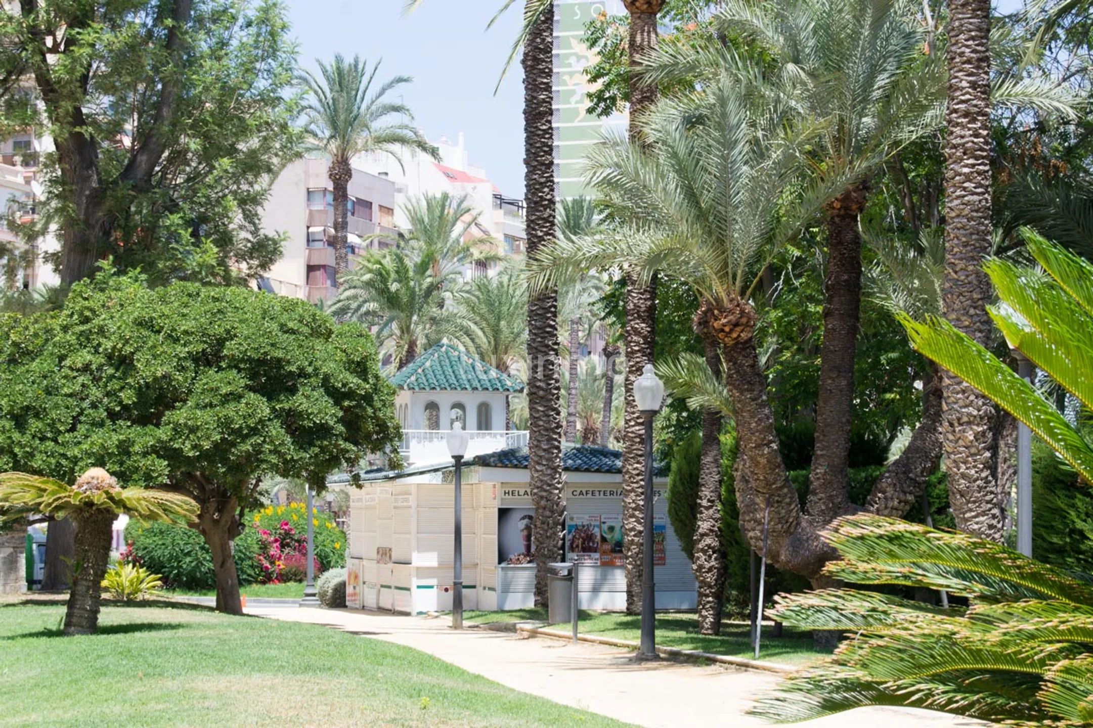 Prachtvolles Eck-Penthouse auf der Esplanade von Alicante — photo 47