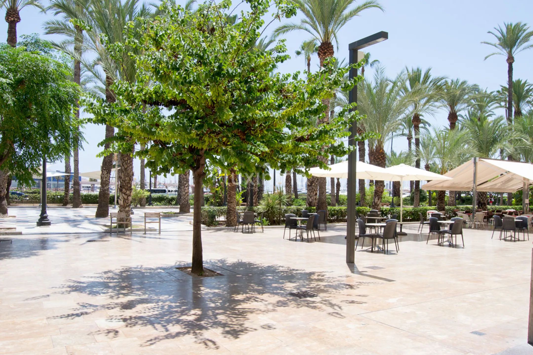 Prachtvolles Eck-Penthouse auf der Esplanade von Alicante — photo 34