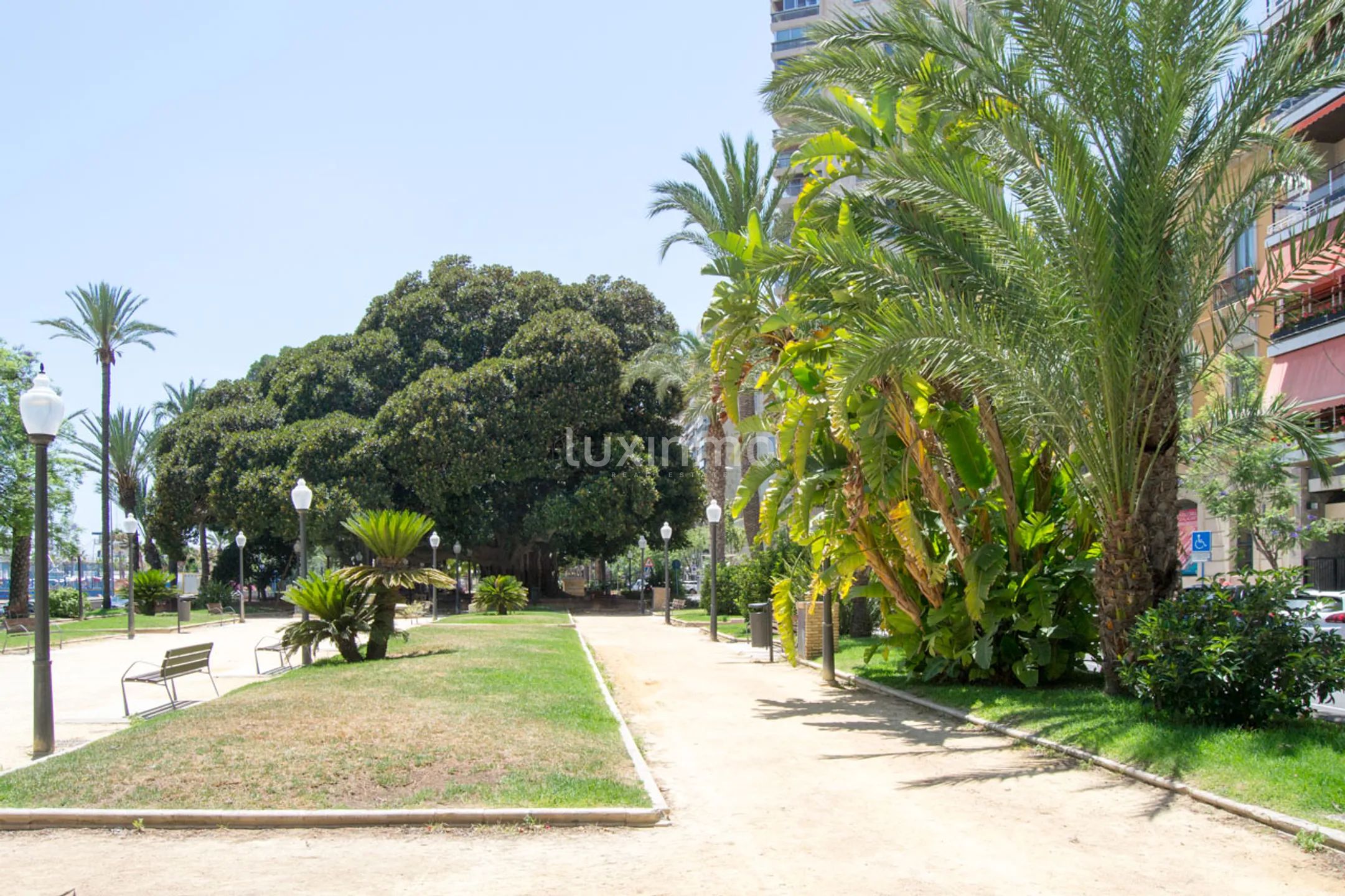 Prachtvolles Eck-Penthouse auf der Esplanade von Alicante — photo 44