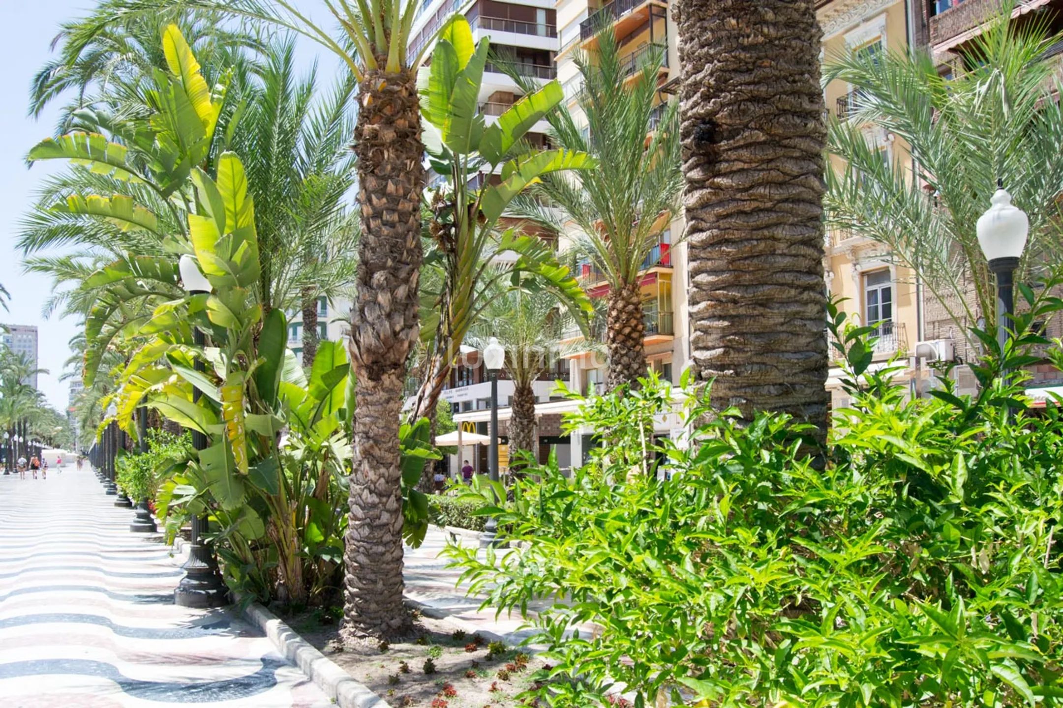 Prachtvolles Eck-Penthouse auf der Esplanade von Alicante — photo 38