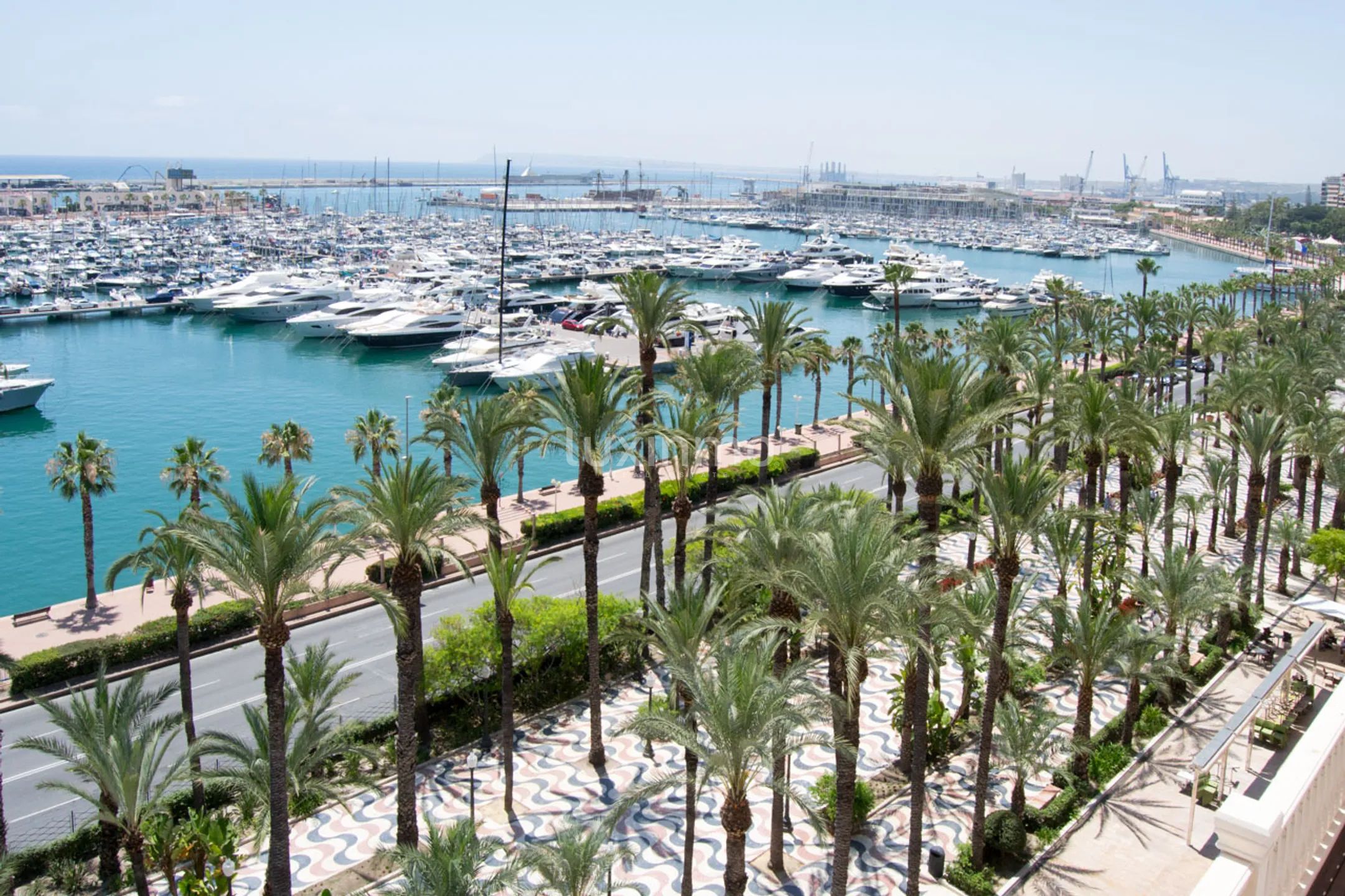 Prachtvolles Eck-Penthouse auf der Esplanade von Alicante — photo 12