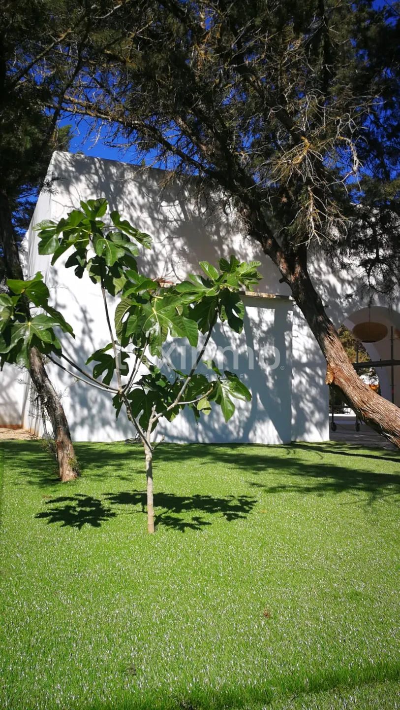 For sale Fantastic Villa with touristic licence in Ibiza — photo 6
