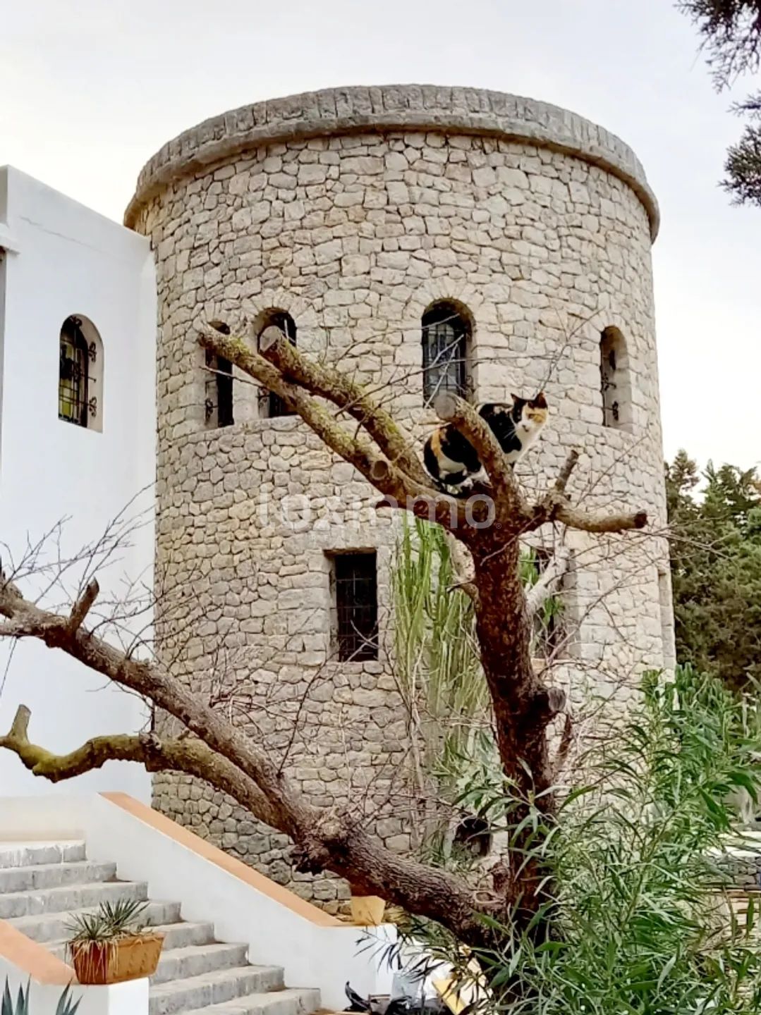 For sale Fantastic Villa with touristic licence in Ibiza — photo 4