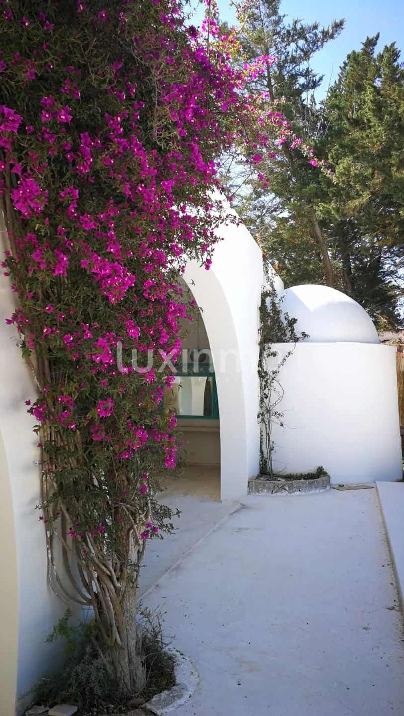 For sale Fantastic Villa with touristic licence in Ibiza — photo 5