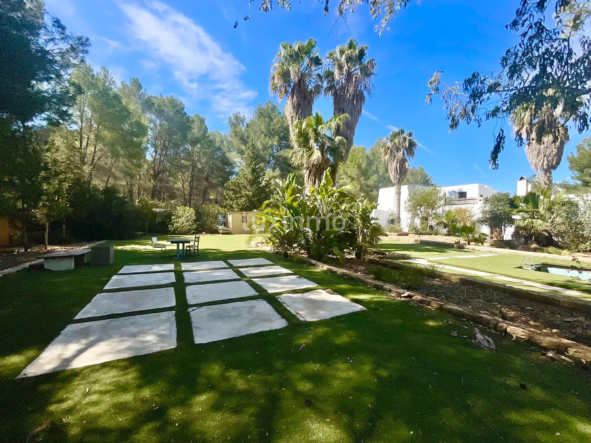 Rustikk Finca i privat skogsområde i Santa Eulalia, ideell for en stor familie eller et fellesskap — photo 14