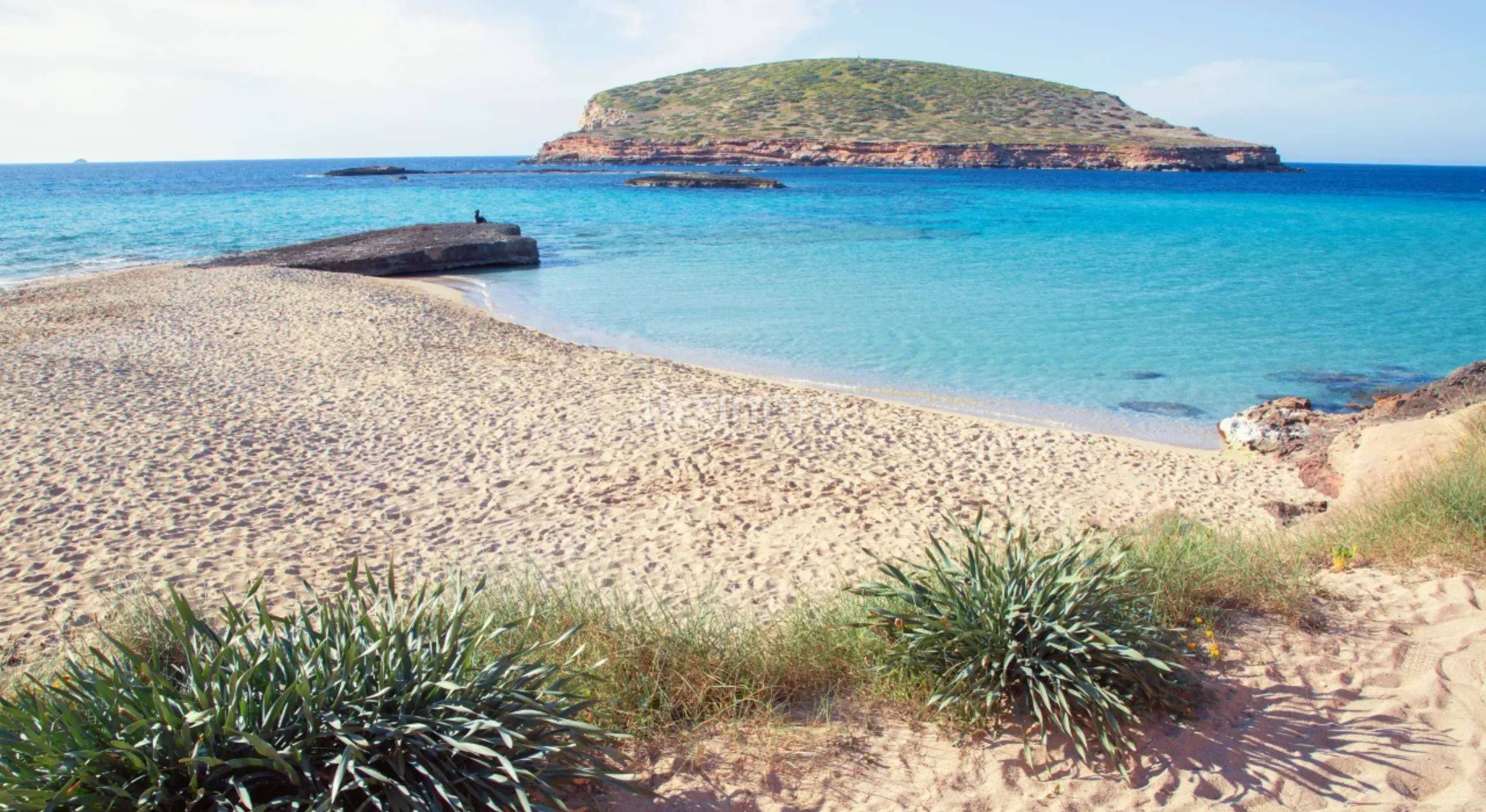Rustikk Finca i privat skogsområde i Santa Eulalia, ideell for en stor familie eller et fellesskap — photo 46