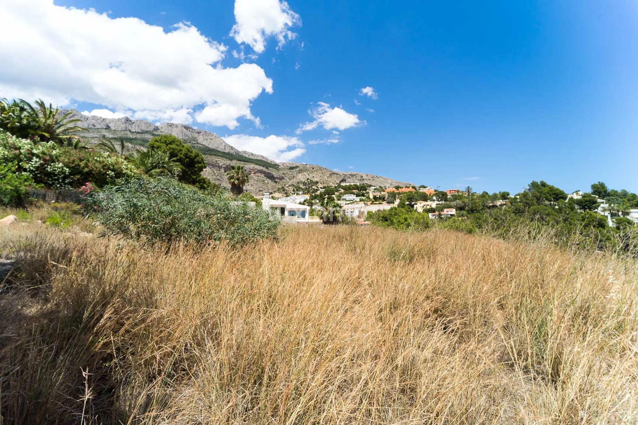 Large flat plot of land with sea views in Altea — photo 7