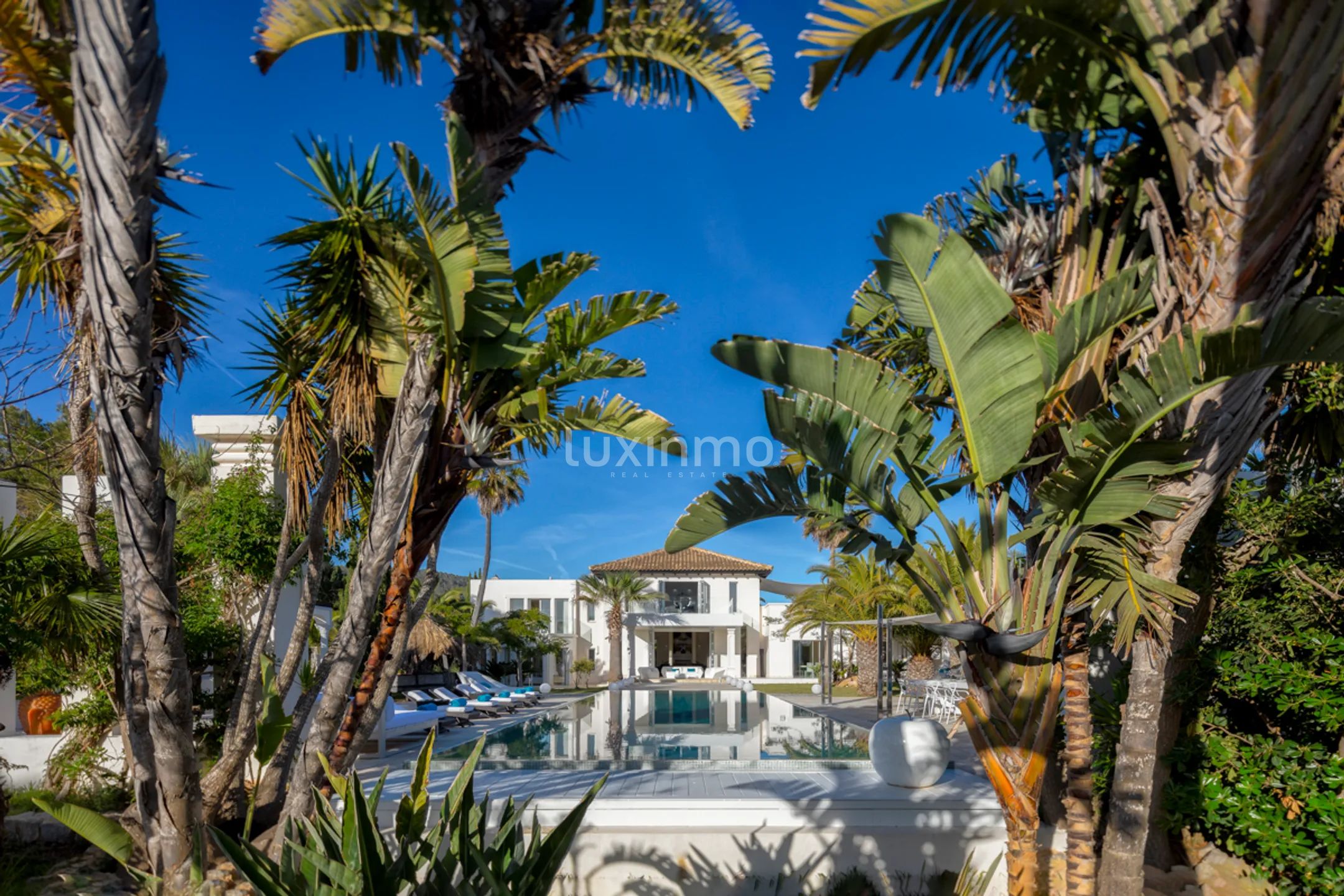 Luxury Spectacular Villa for Sale next to Blue Marlin — photo 50