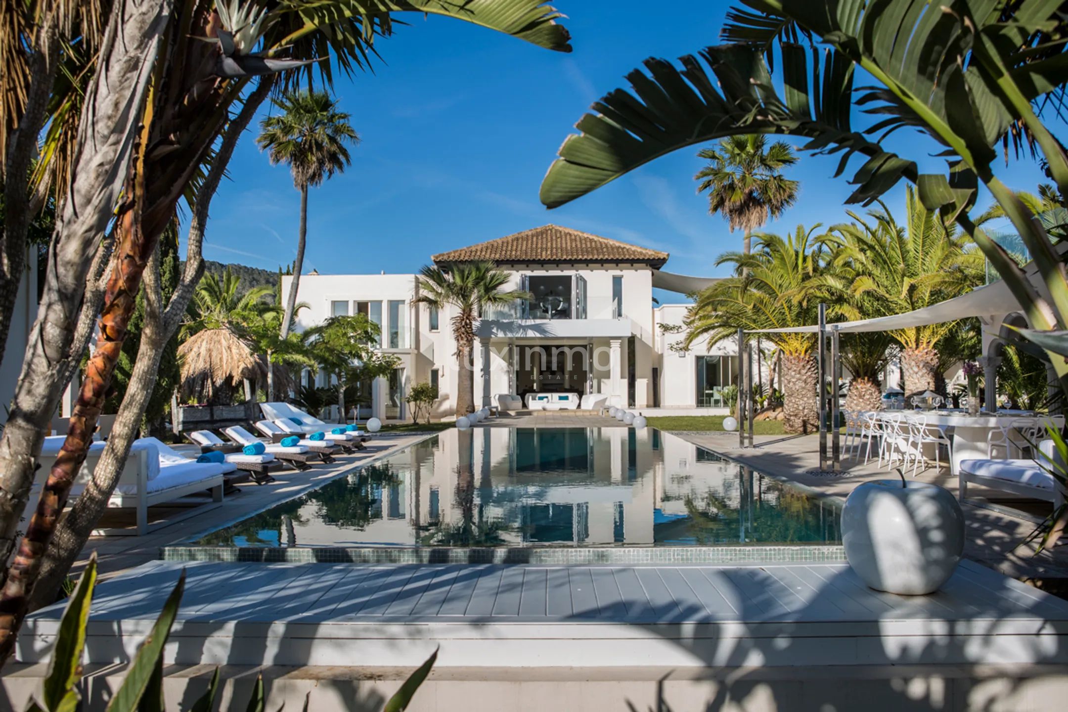 Luxury Spectacular Villa for Sale next to Blue Marlin — photo 7