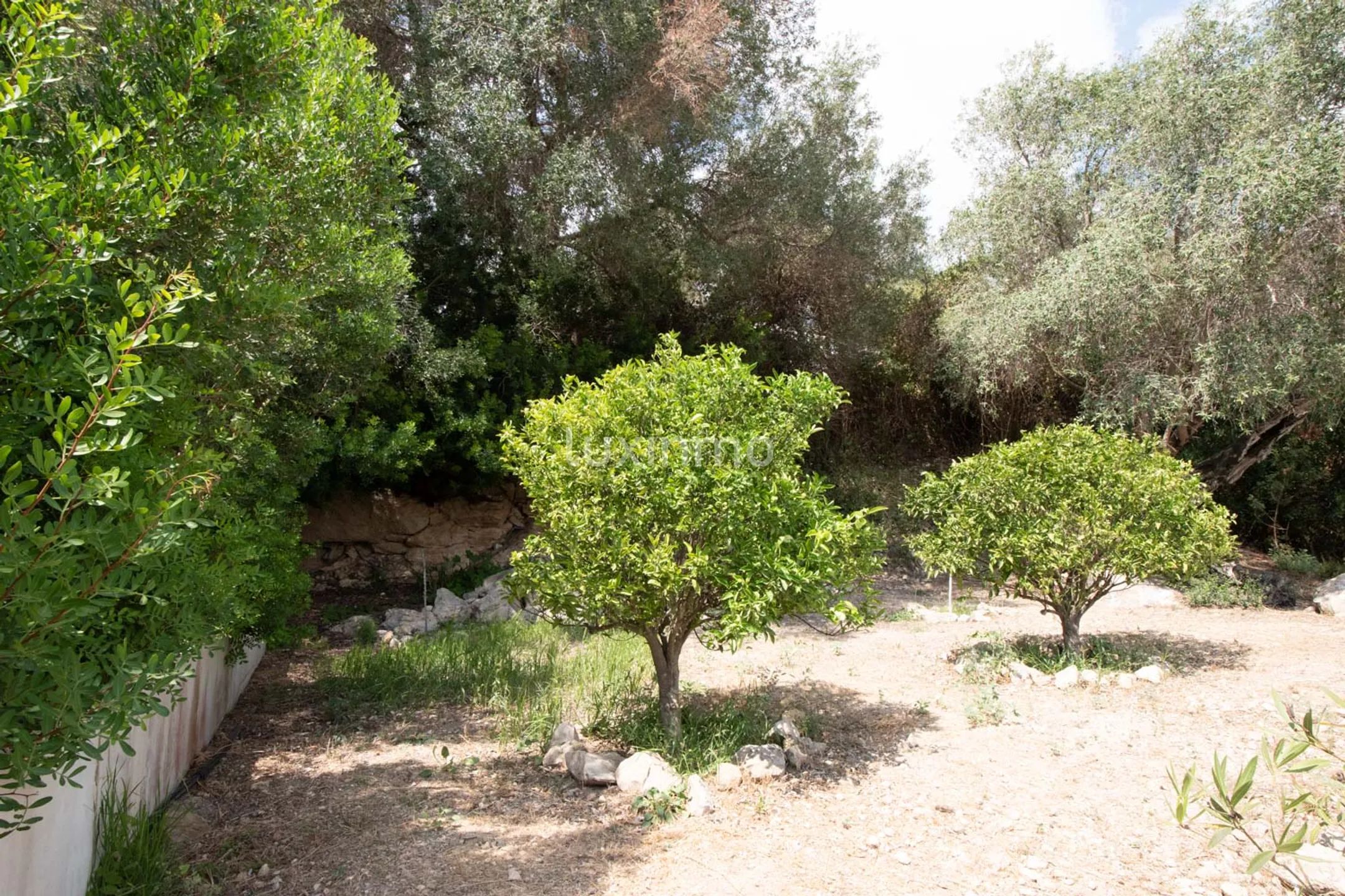 Charming House in San Agustin with Countryside views and Pool Project — photo 4