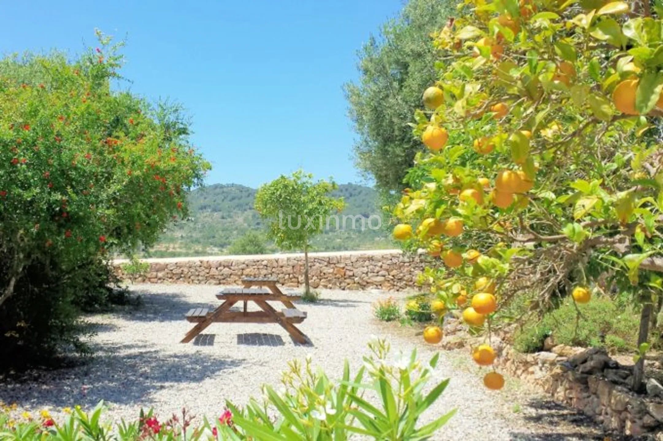 Charmant huis in San Agustin met uitzicht op het platteland en zwembad Project — photo 43