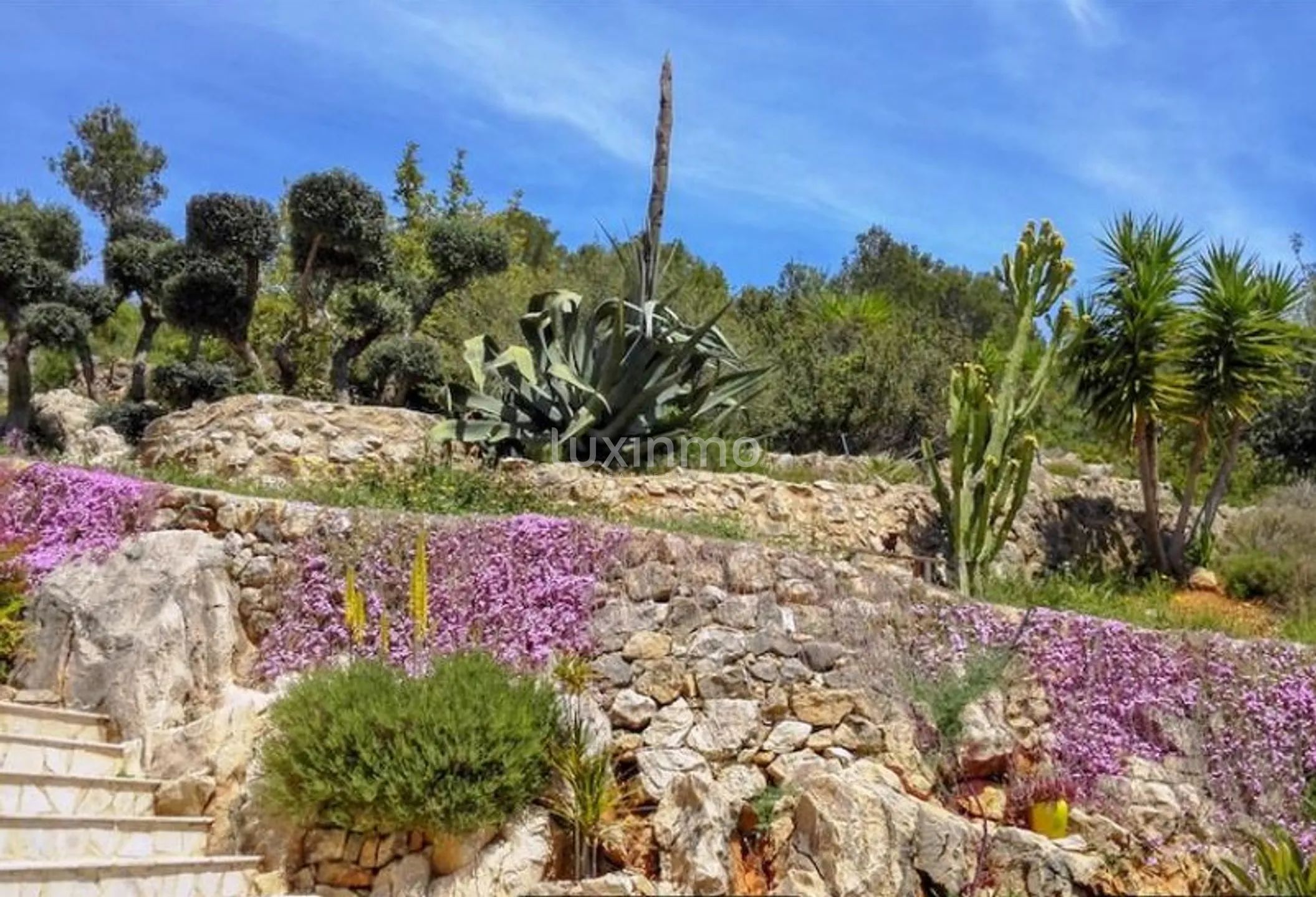 Maison rustique sur grand terrain de montagne à Pedreguer — photo 13