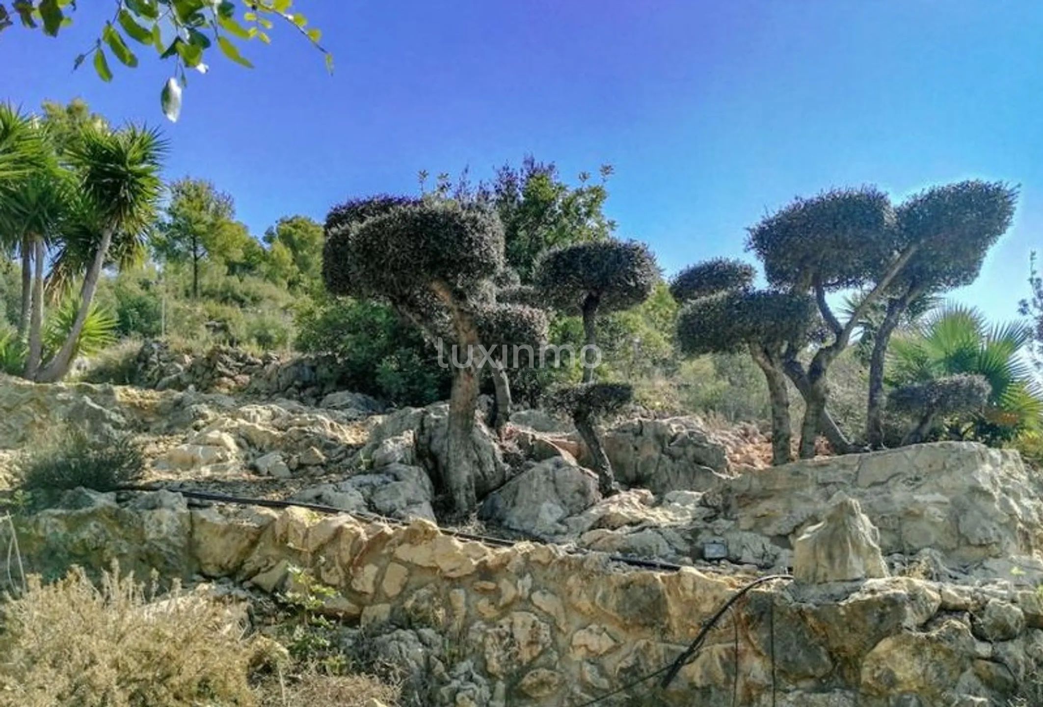 Rustic house on large mountain plot in Pedreguer — photo 7