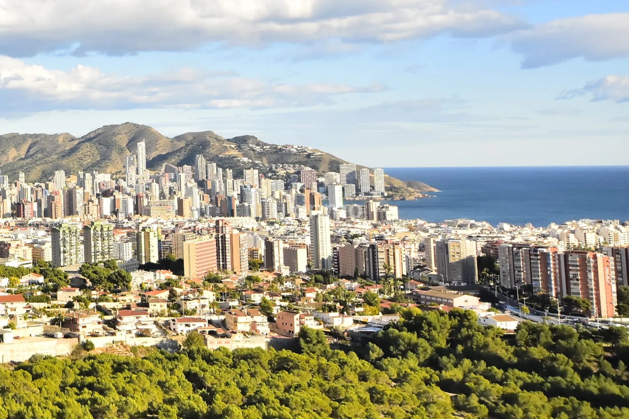 Flat for sale Playa Poniente in Benidorm — photo 15