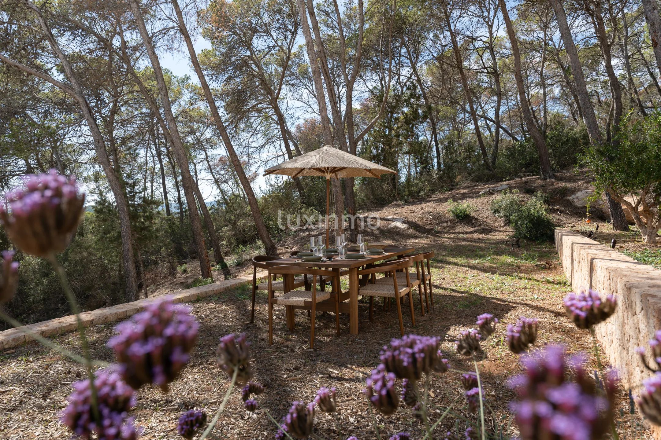 Exquisite Blackstad villa located in Santa Gertrudis — photo 47