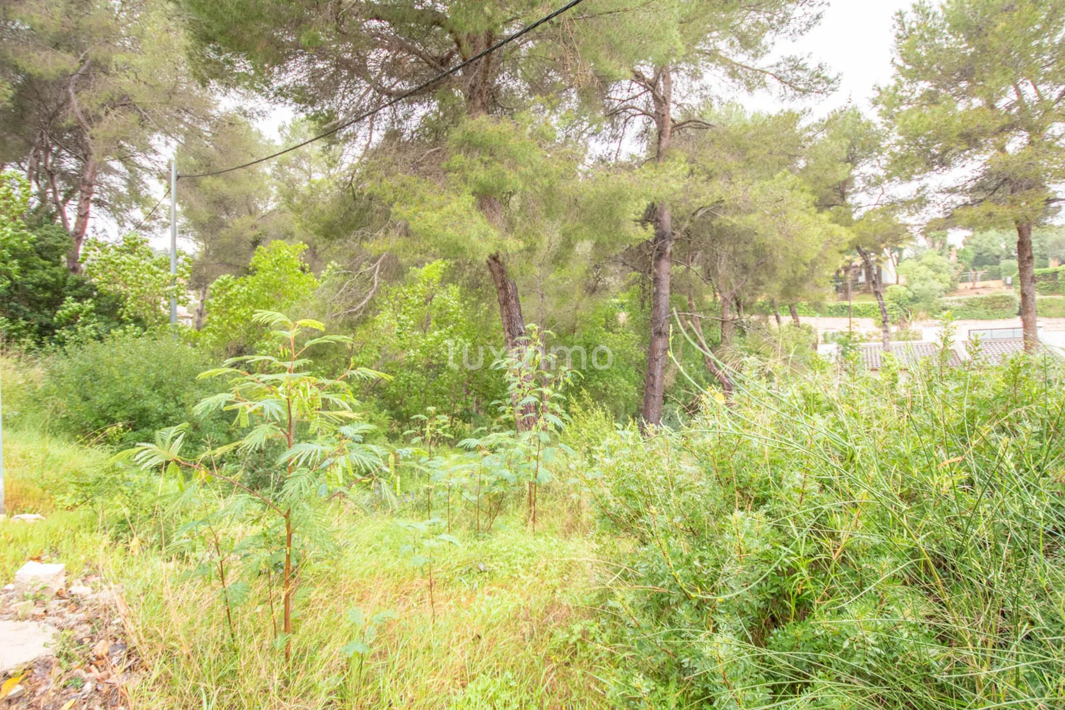 Plot in Javea in Tosalet area — photo 3