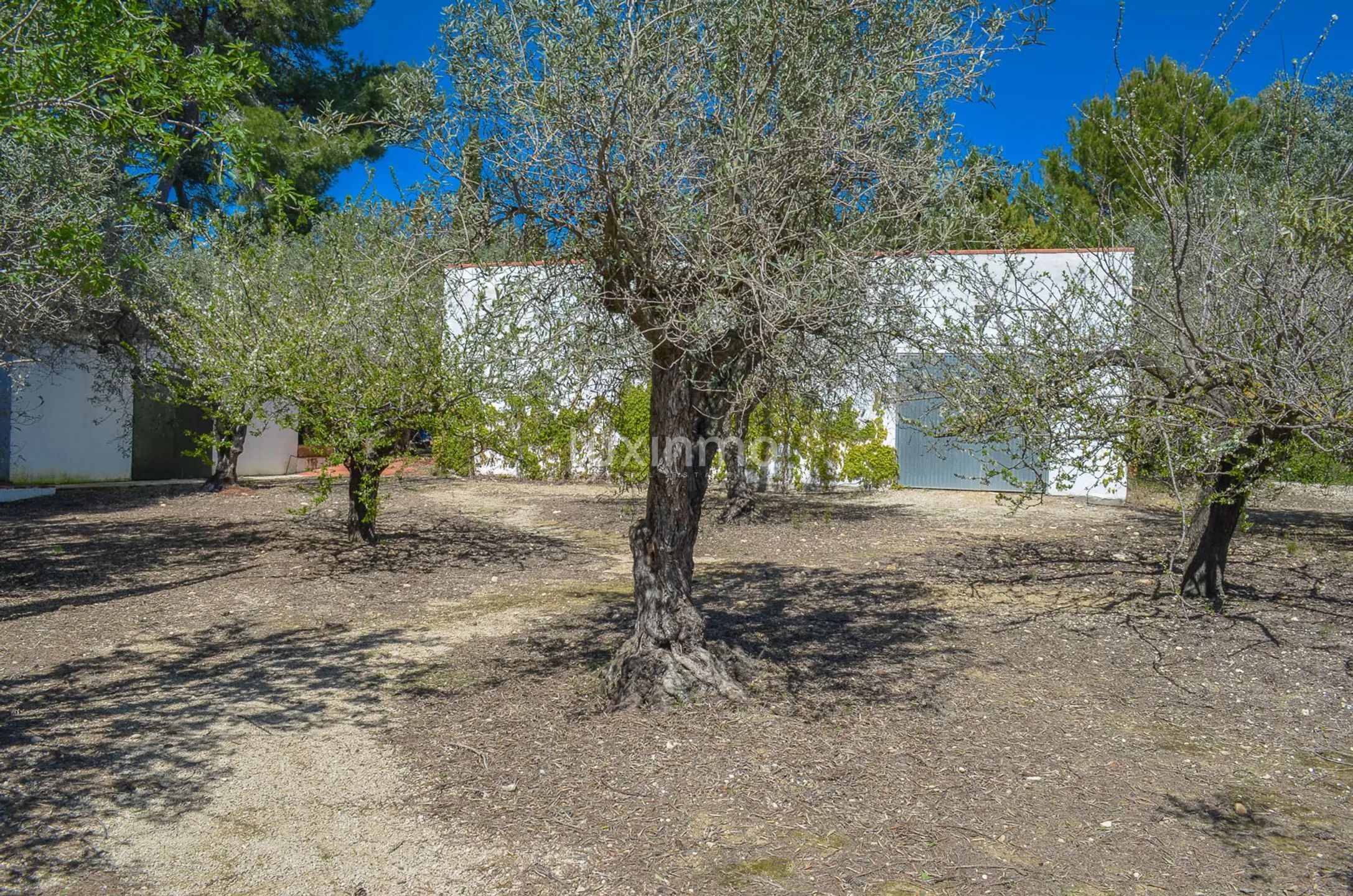 Large charming finca close to Denia — photo 30