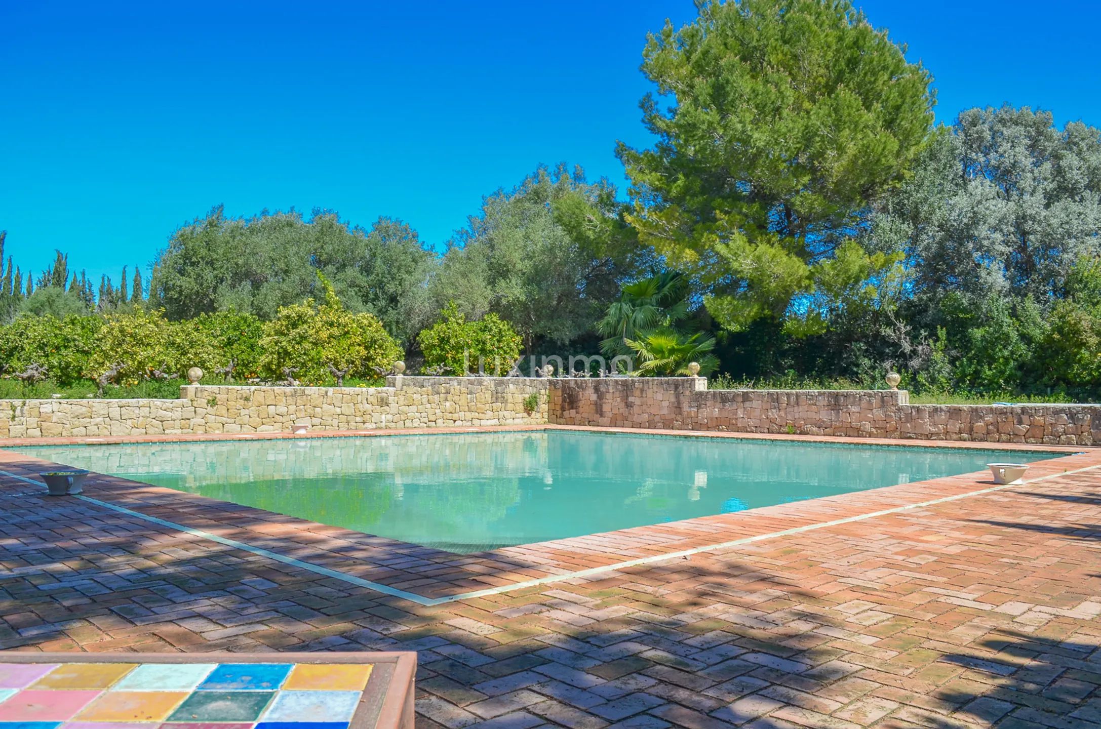 Large charming finca close to Denia — photo 2
