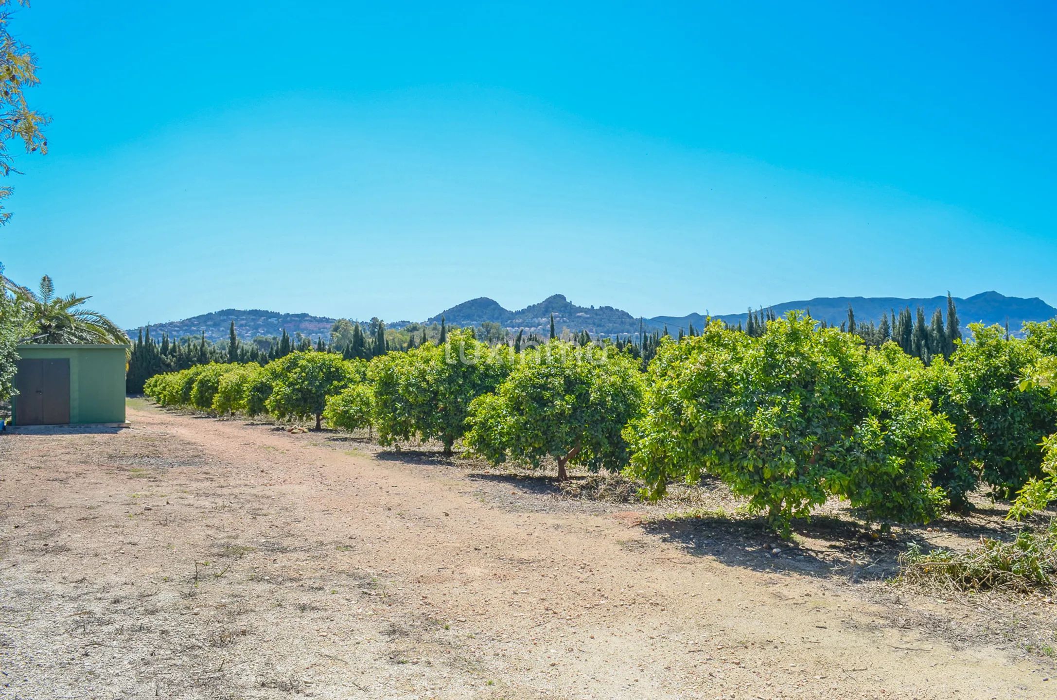 Large charming finca close to Denia — photo 55
