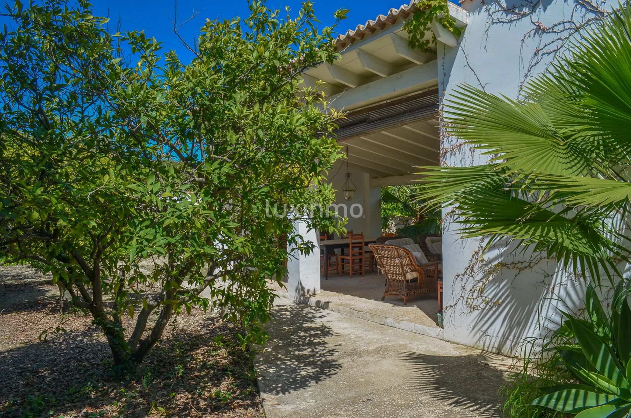 Large charming finca close to Denia — photo 36