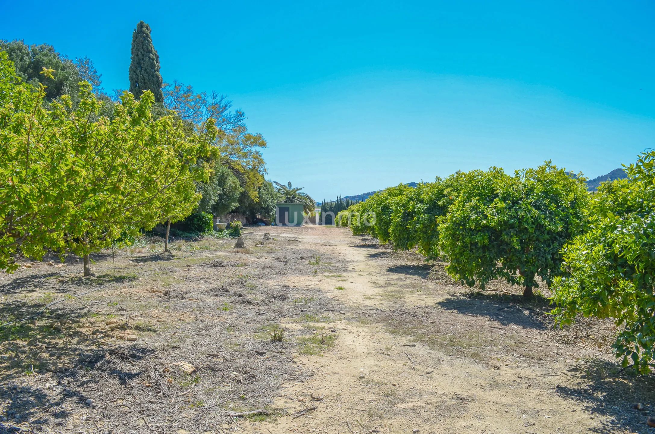 Large charming finca close to Denia — photo 53