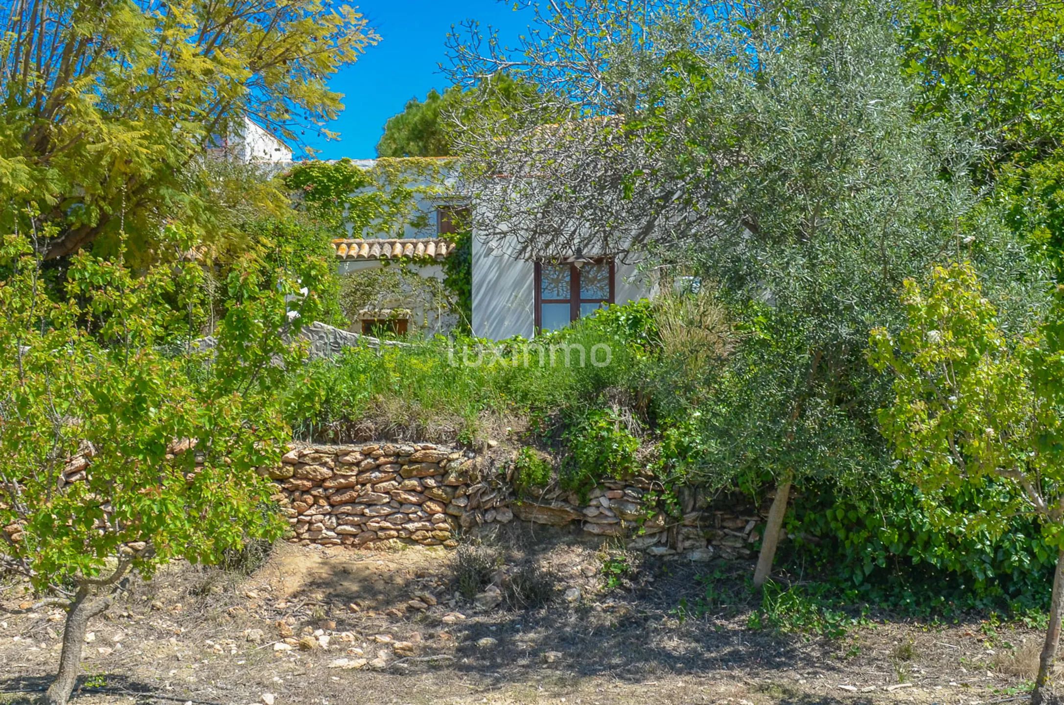 Large charming finca close to Denia — photo 54