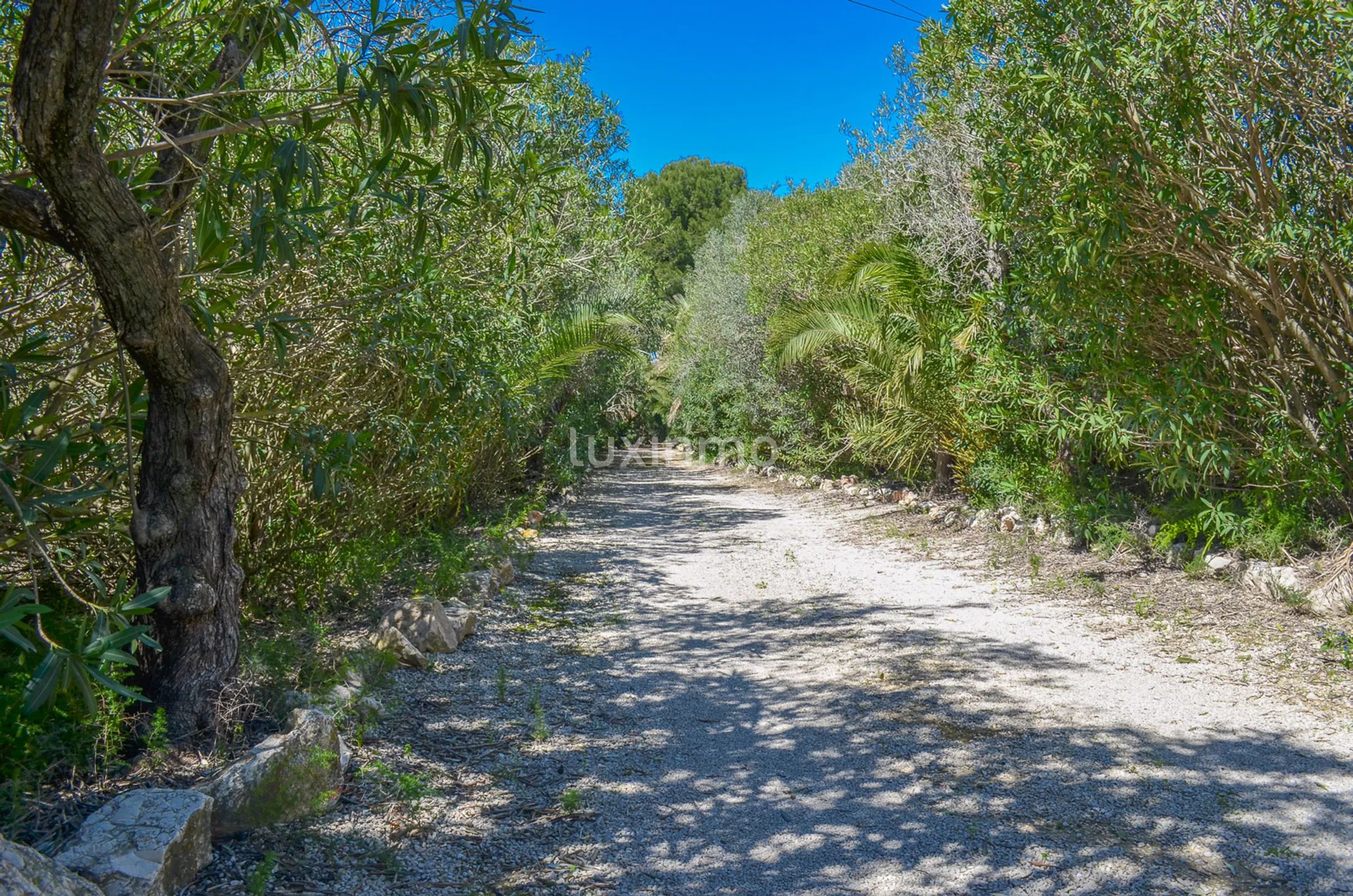 Large charming finca close to Denia — photo 32