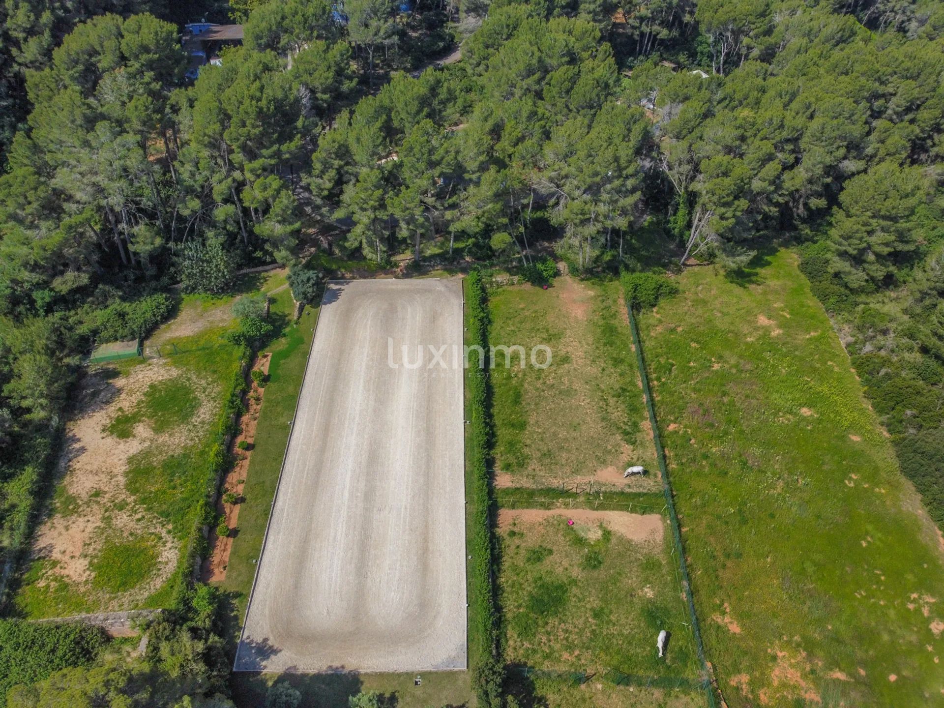 Moderne und einzigartige Reitsport-Finca — photo 48