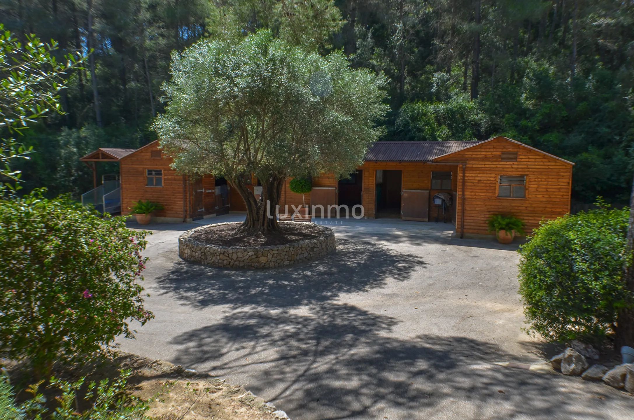 Finca ecuestre moderna y única — photo 9
