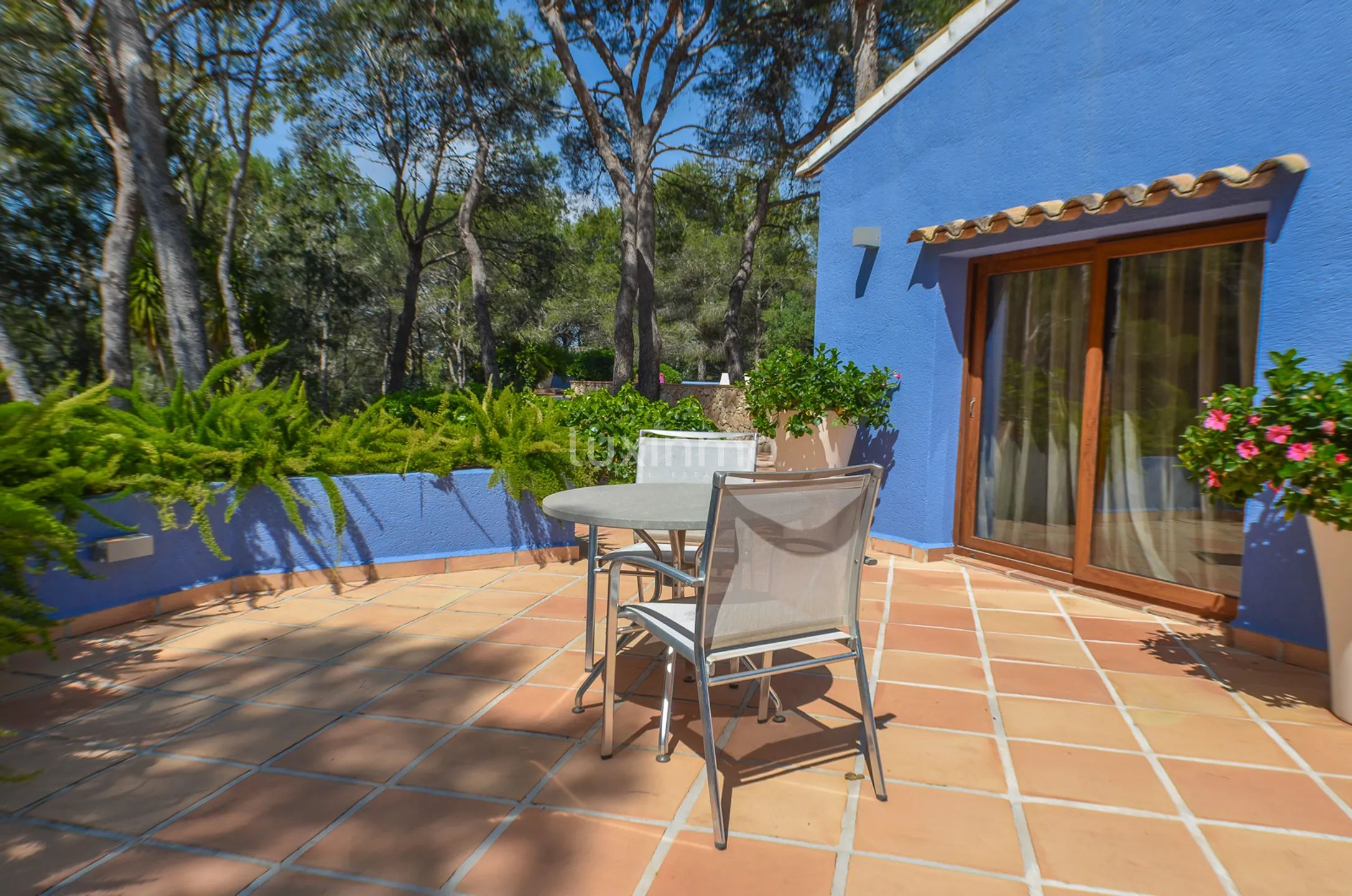 Moderne und einzigartige Reitsport-Finca — photo 33