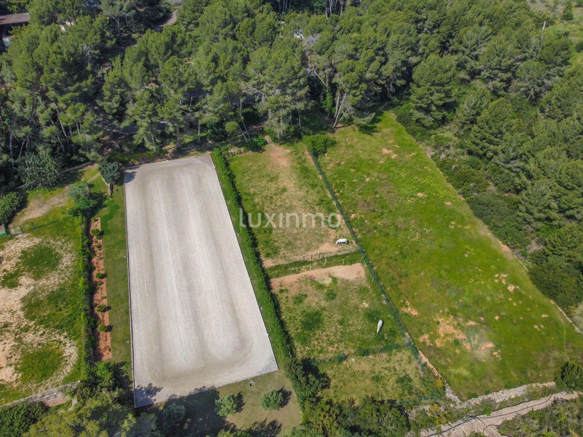 Moderne und einzigartige Reitsport-Finca — photo 58