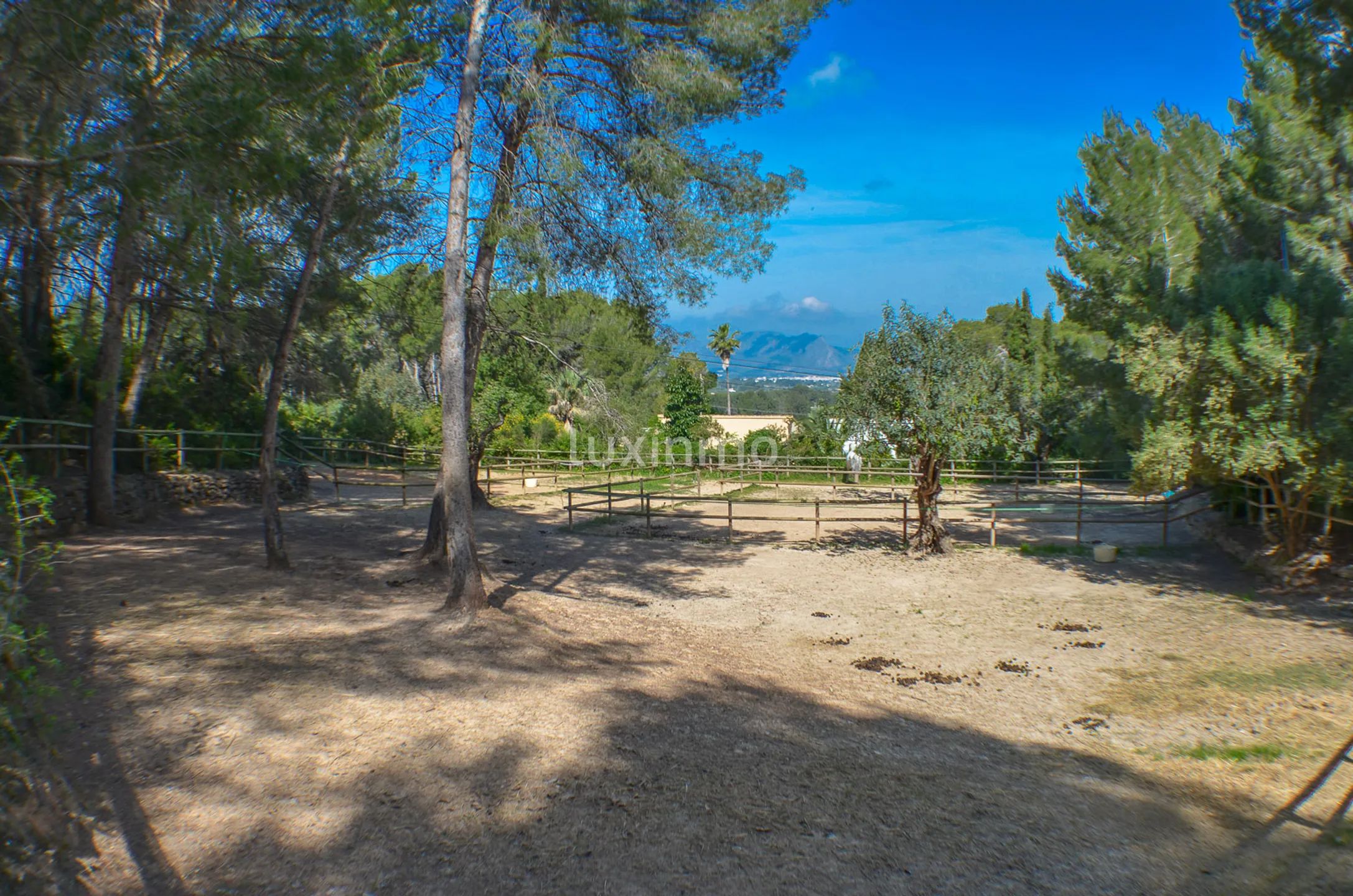 Moderne und einzigartige Reitsport-Finca — photo 35