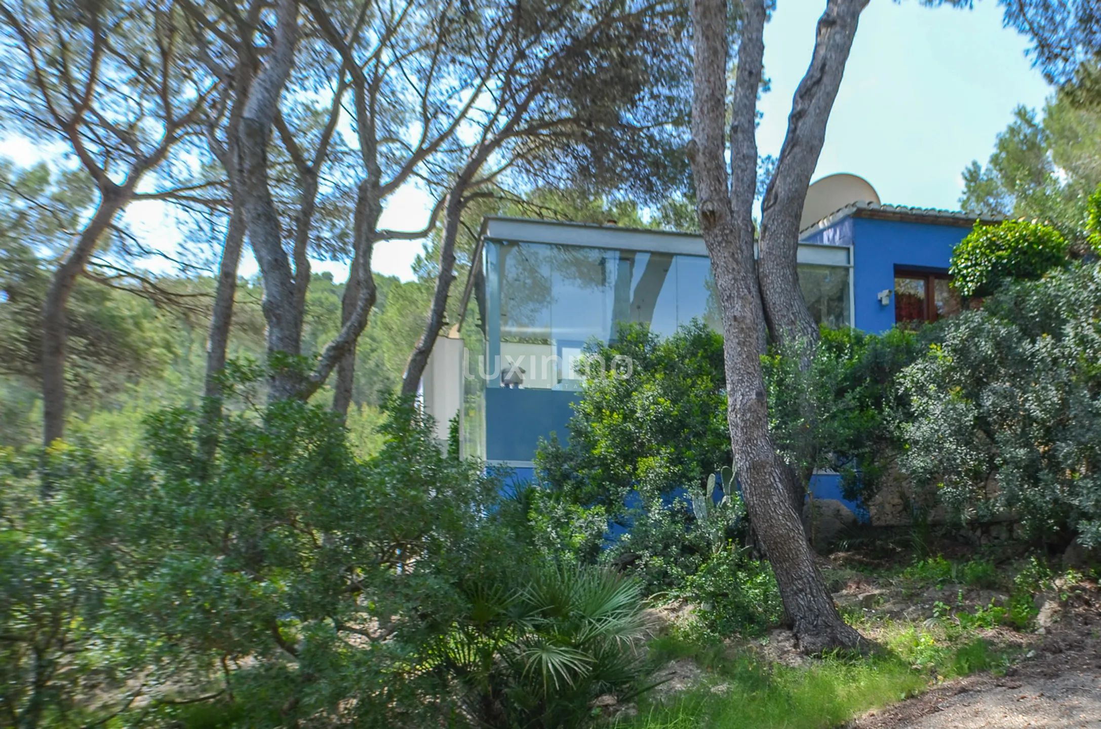 Finca ecuestre moderna y única — photo 6
