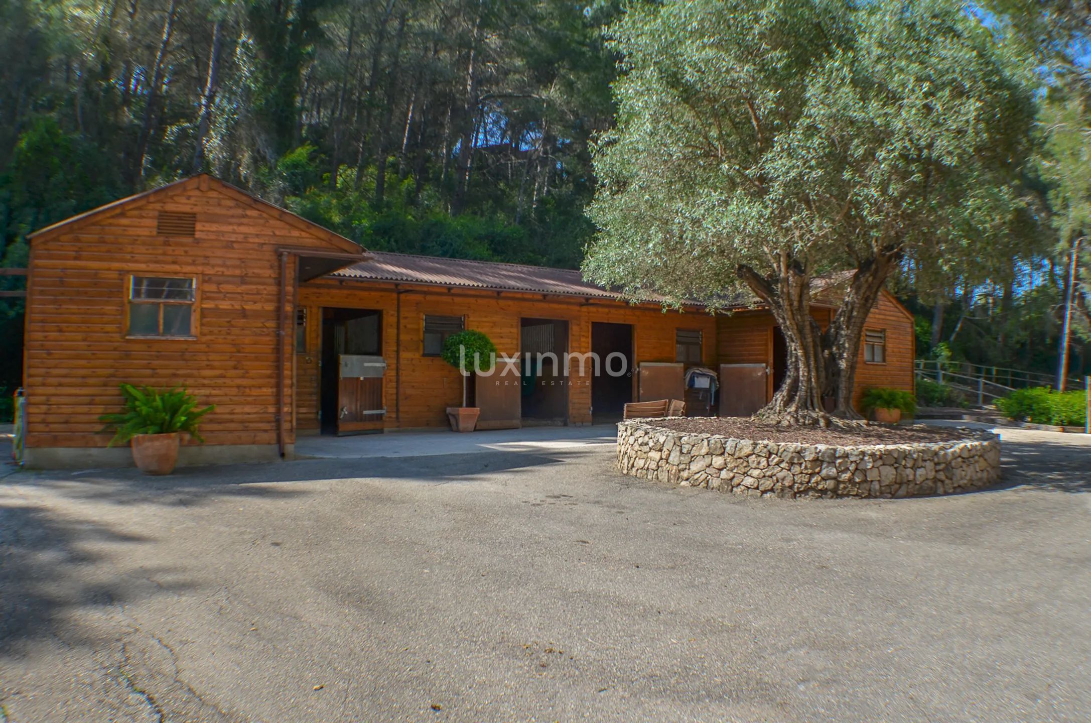 Moderne und einzigartige Reitsport-Finca — photo 36