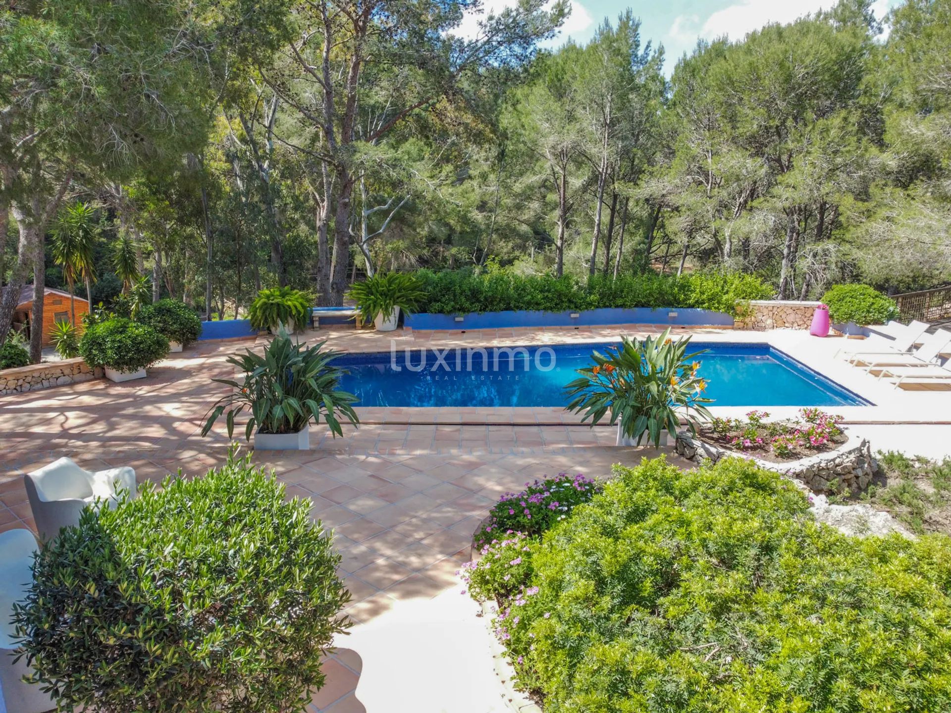 Moderne und einzigartige Reitsport-Finca — photo 54