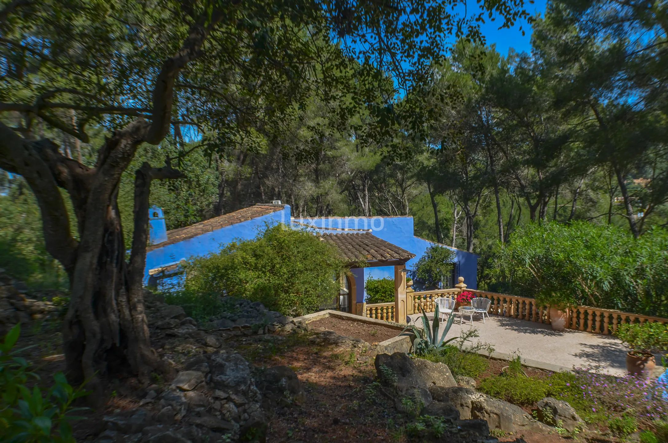 Finca ecuestre moderna y única — photo 46
