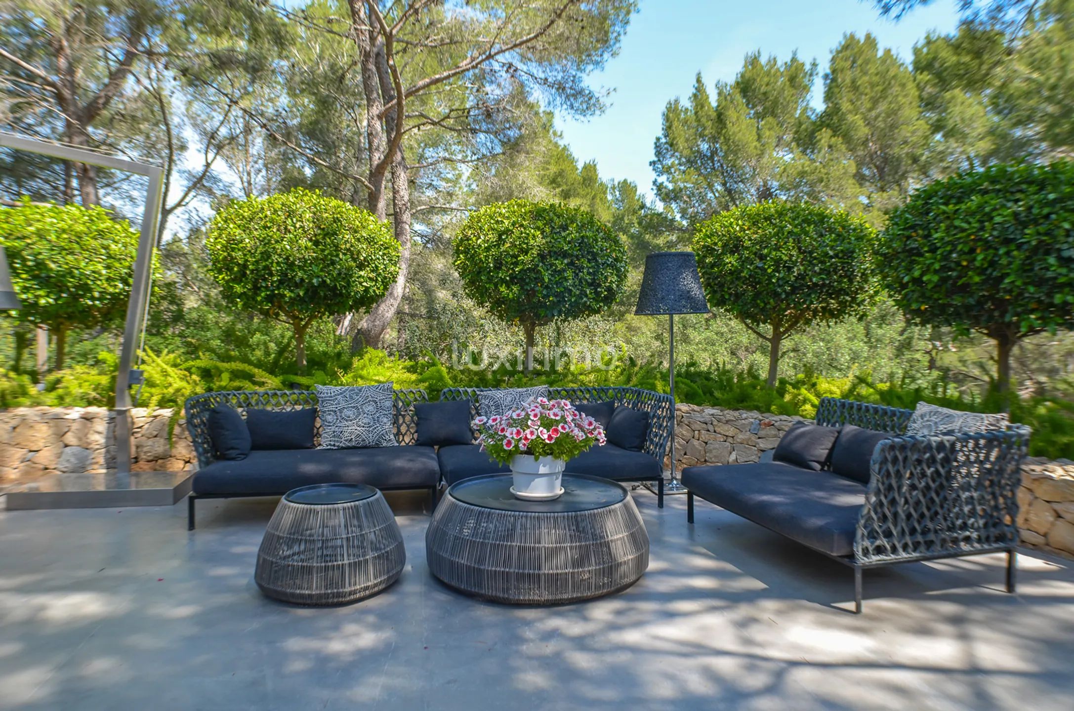 Moderne und einzigartige Reitsport-Finca — photo 24