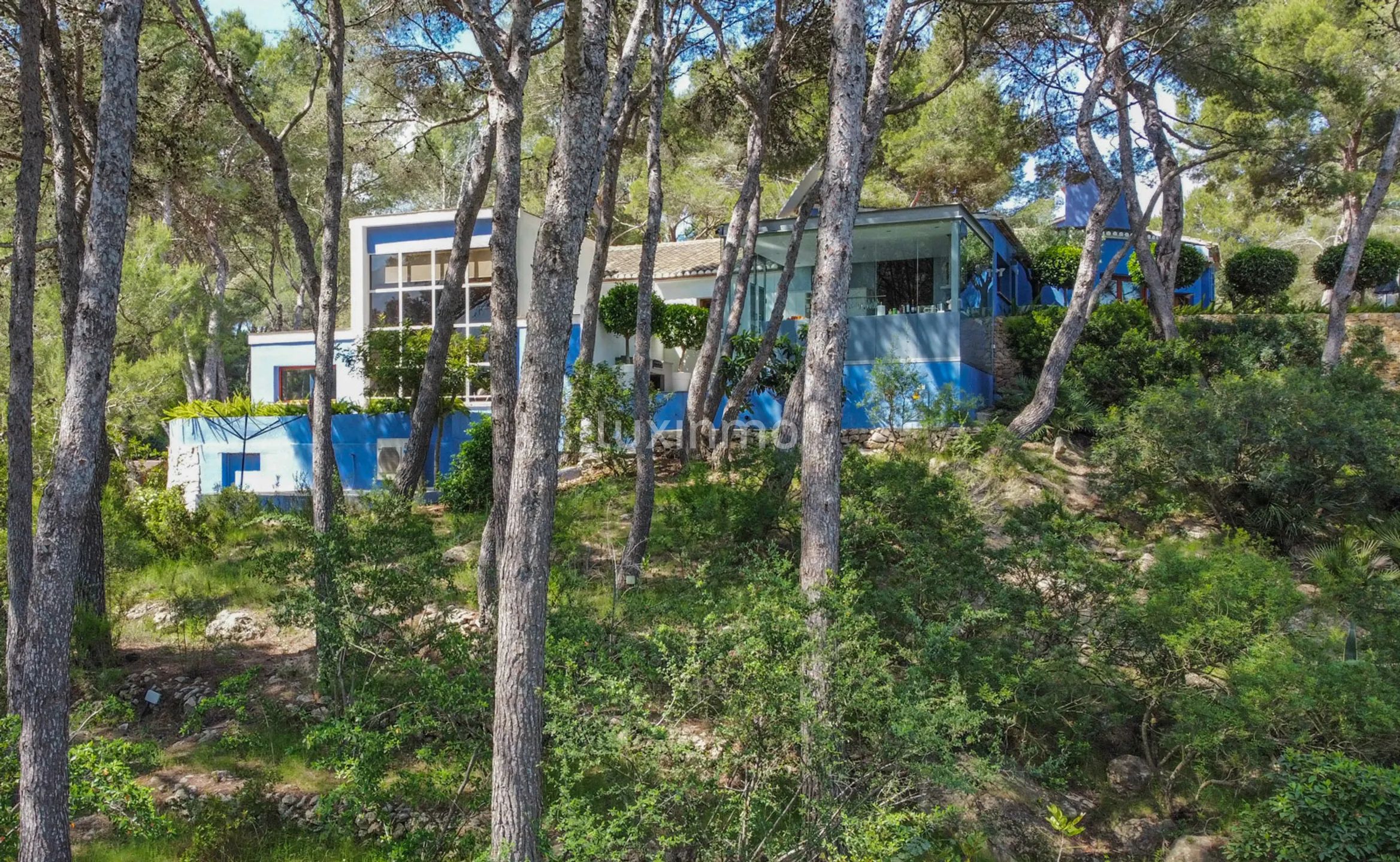 Moderne und einzigartige Reitsport-Finca — photo 57