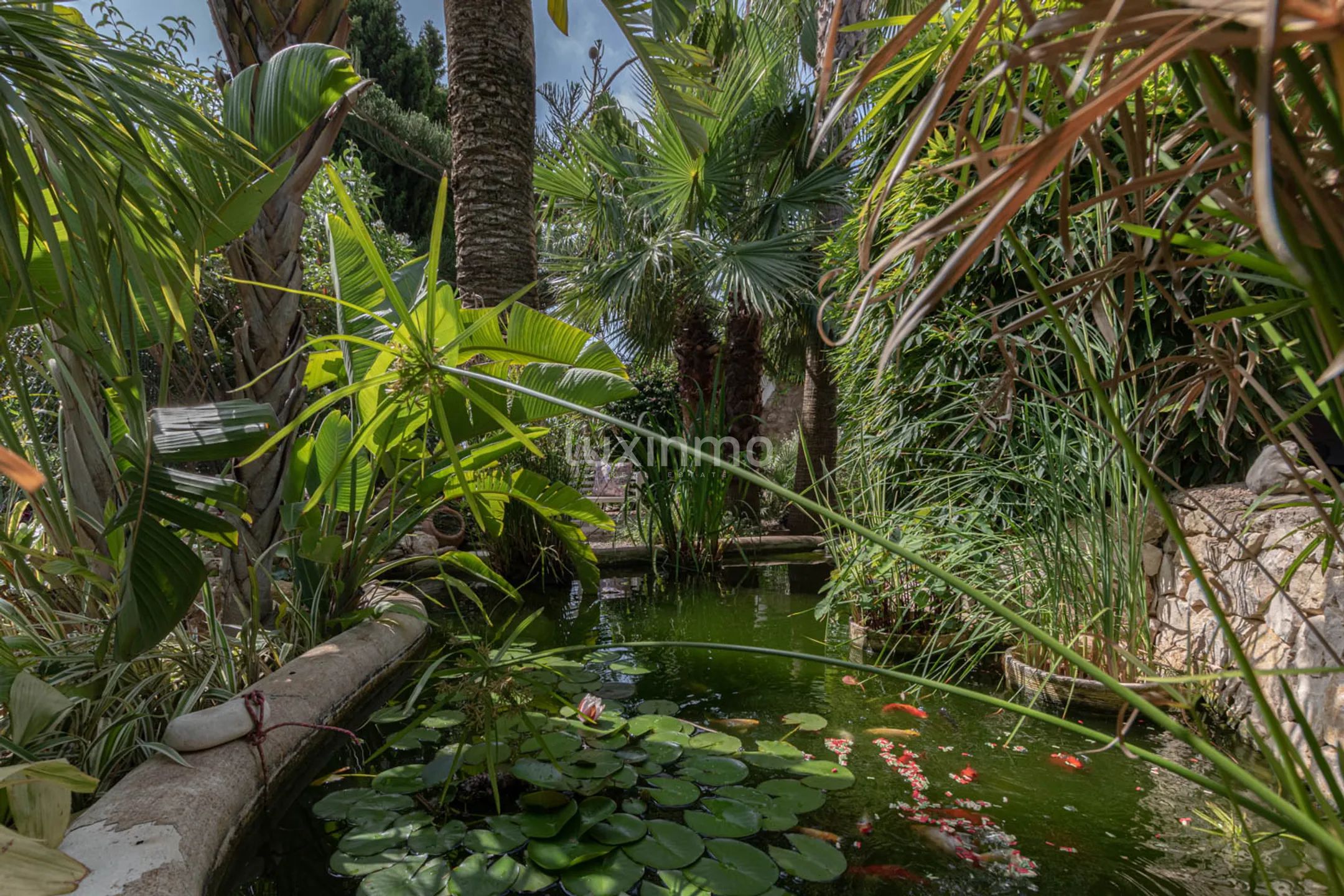 Финка на продажу в Педрамала с потрясающим панорамным видом на горы и море — photo 13