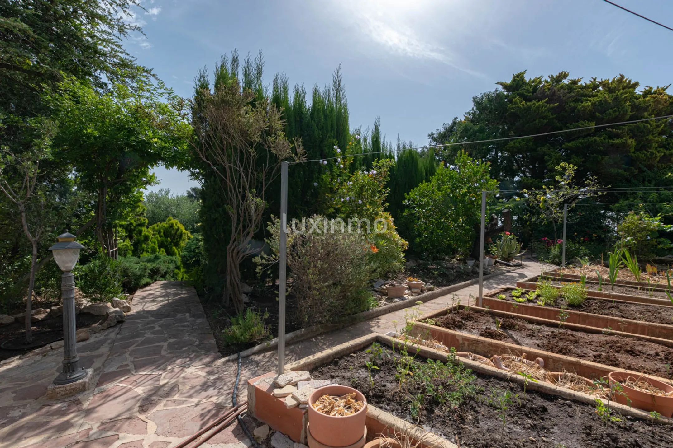 Финка на продажу в Педрамала с потрясающим панорамным видом на горы и море — photo 10