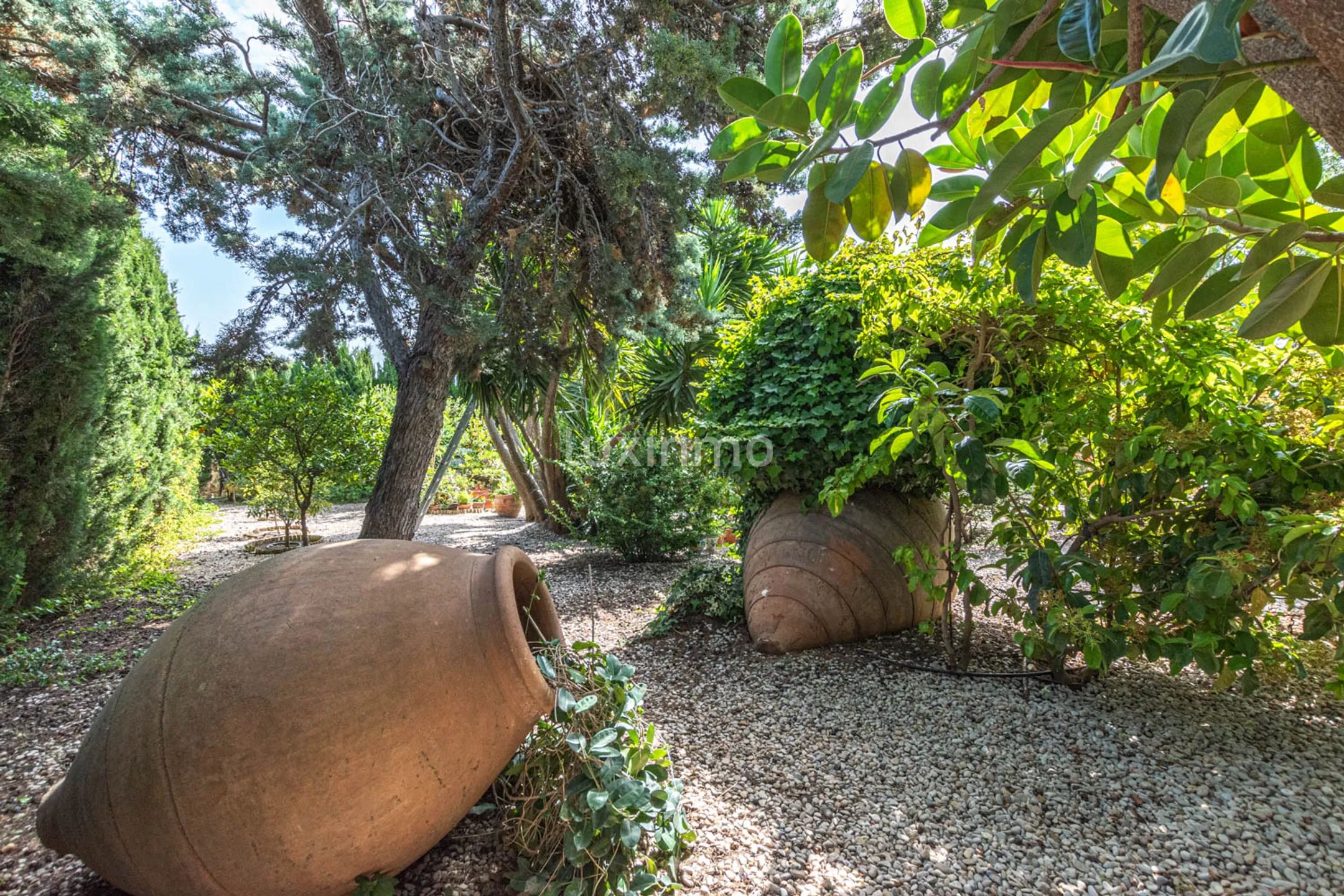 Финка на продажу в Педрамала с потрясающим панорамным видом на горы и море — photo 12